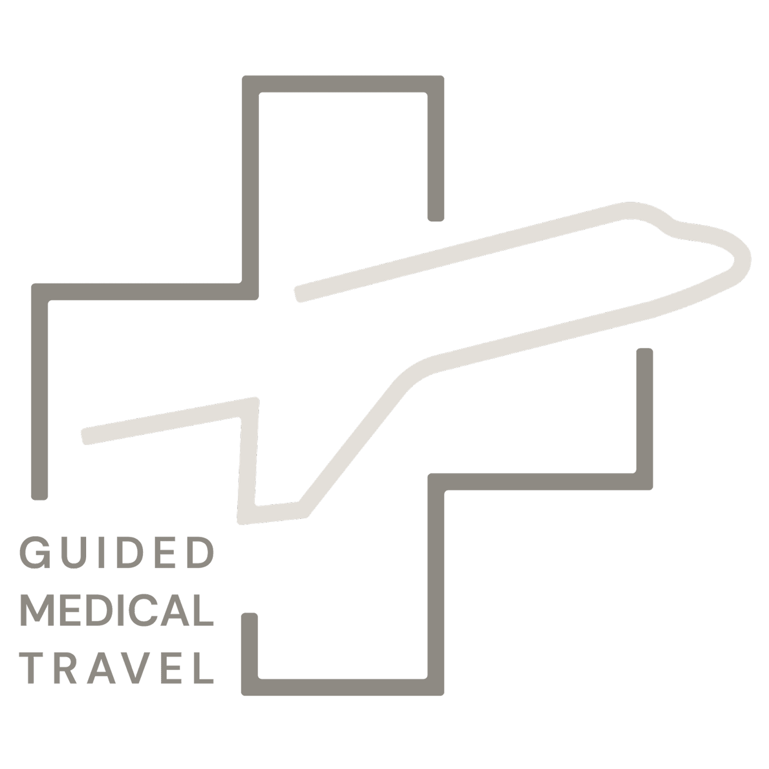 Guided Medical Travel