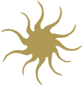 Stylized golden sun for Sun Rot with wavy rays on a black background.
