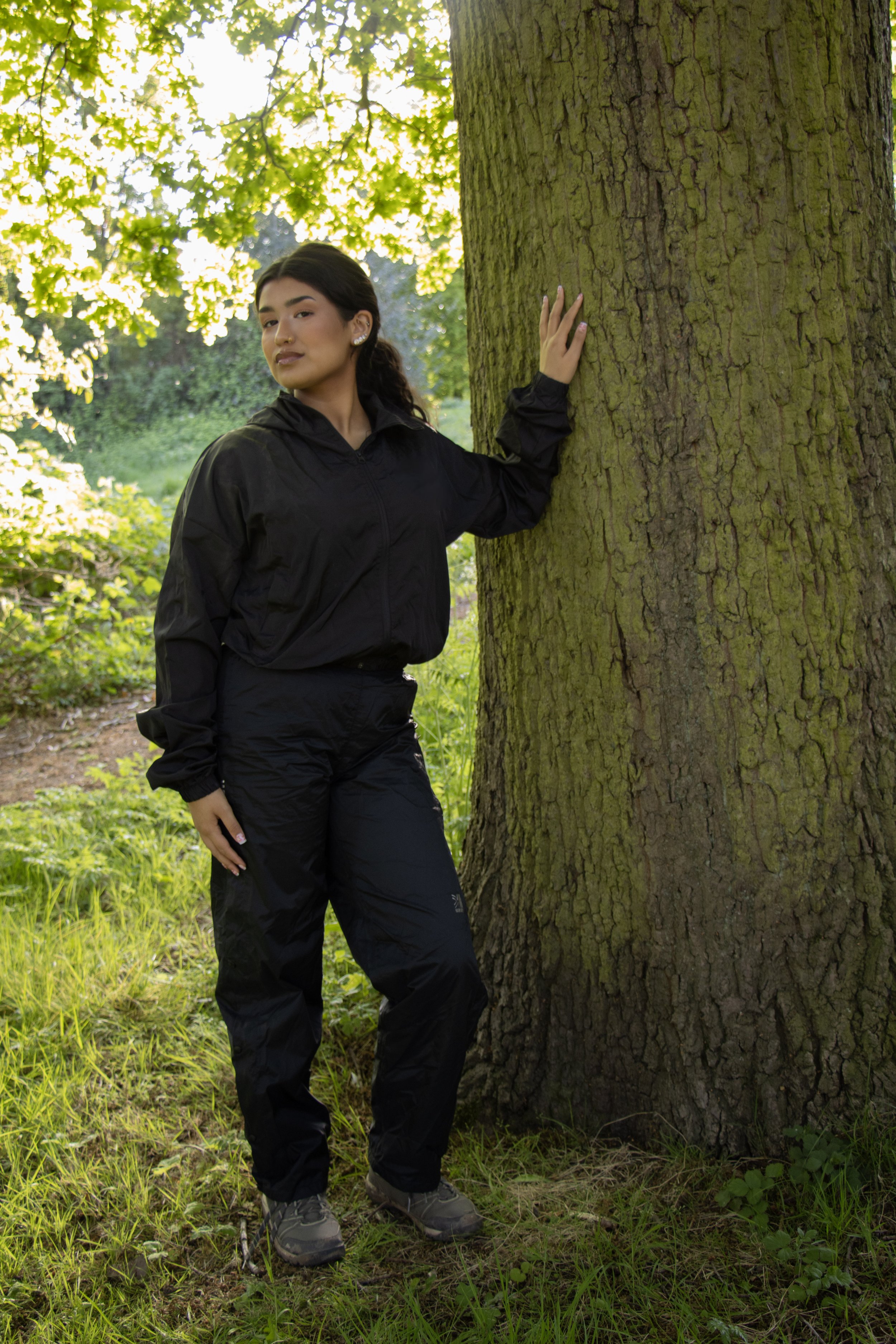 hareem tree.jpg