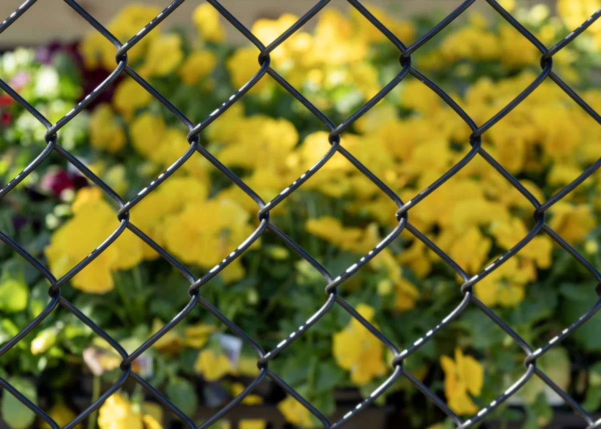 Chain Link Fence Installer Chattanooga - Quality Fence Company