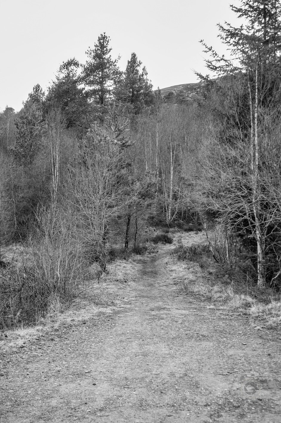 DSC01713.jpeg