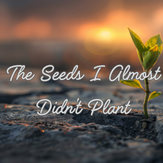 The Seeds I Almost Didn’t Plant