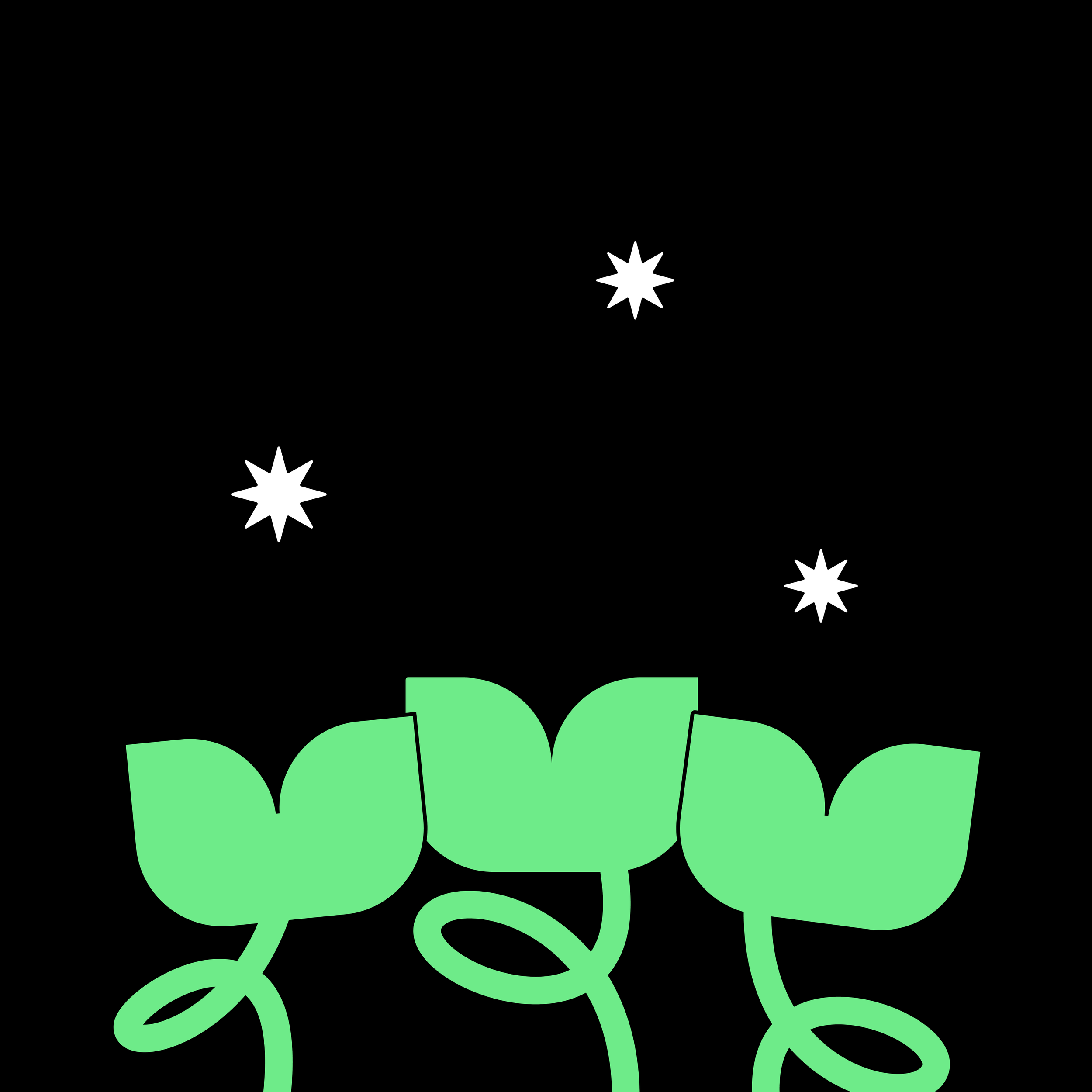 Black background with three green sprouting plants at the bottom, and four white star-shaped sparkles scattered in the upper portion of the image.