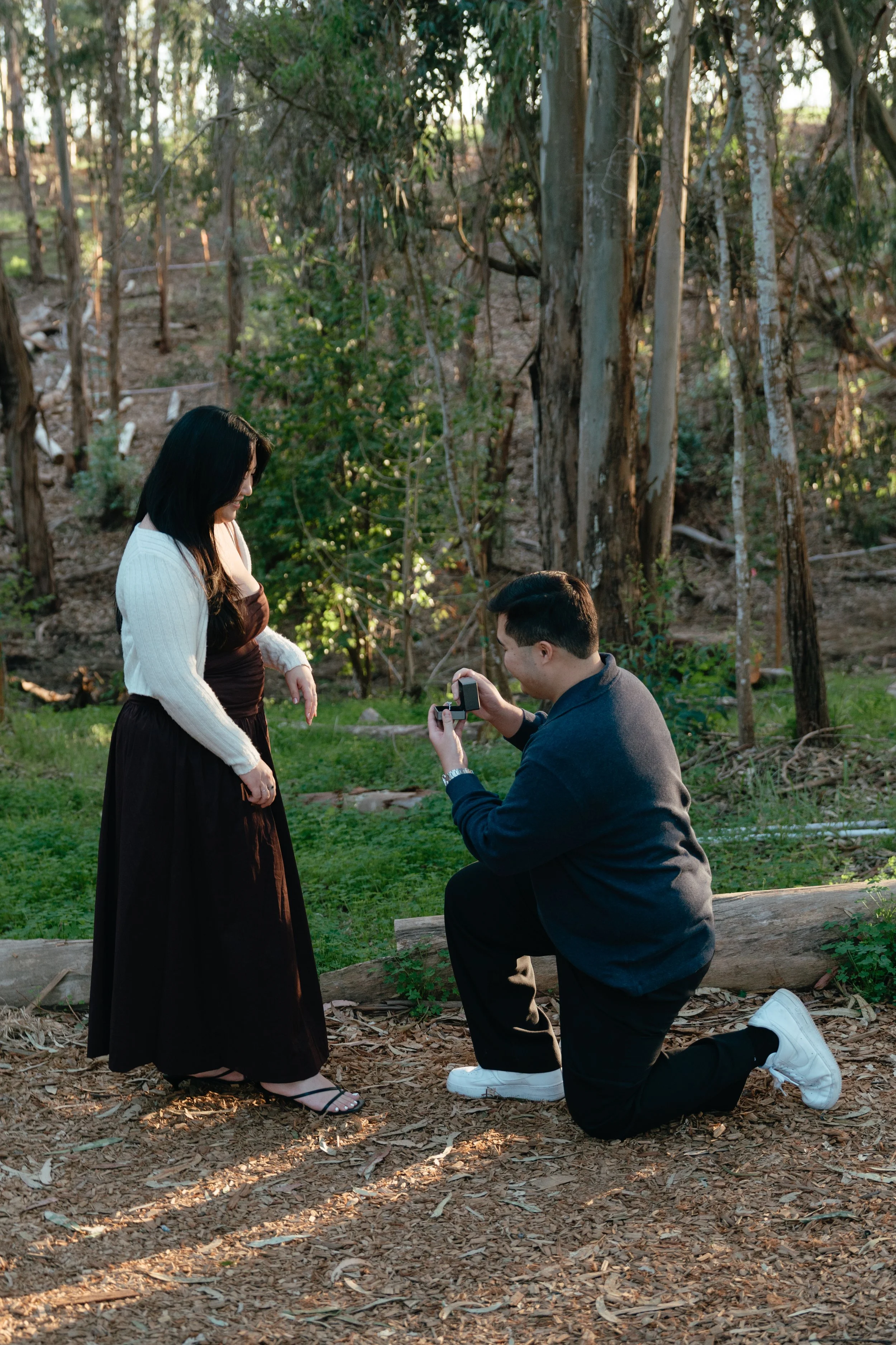 Proposal Photos Southern California
