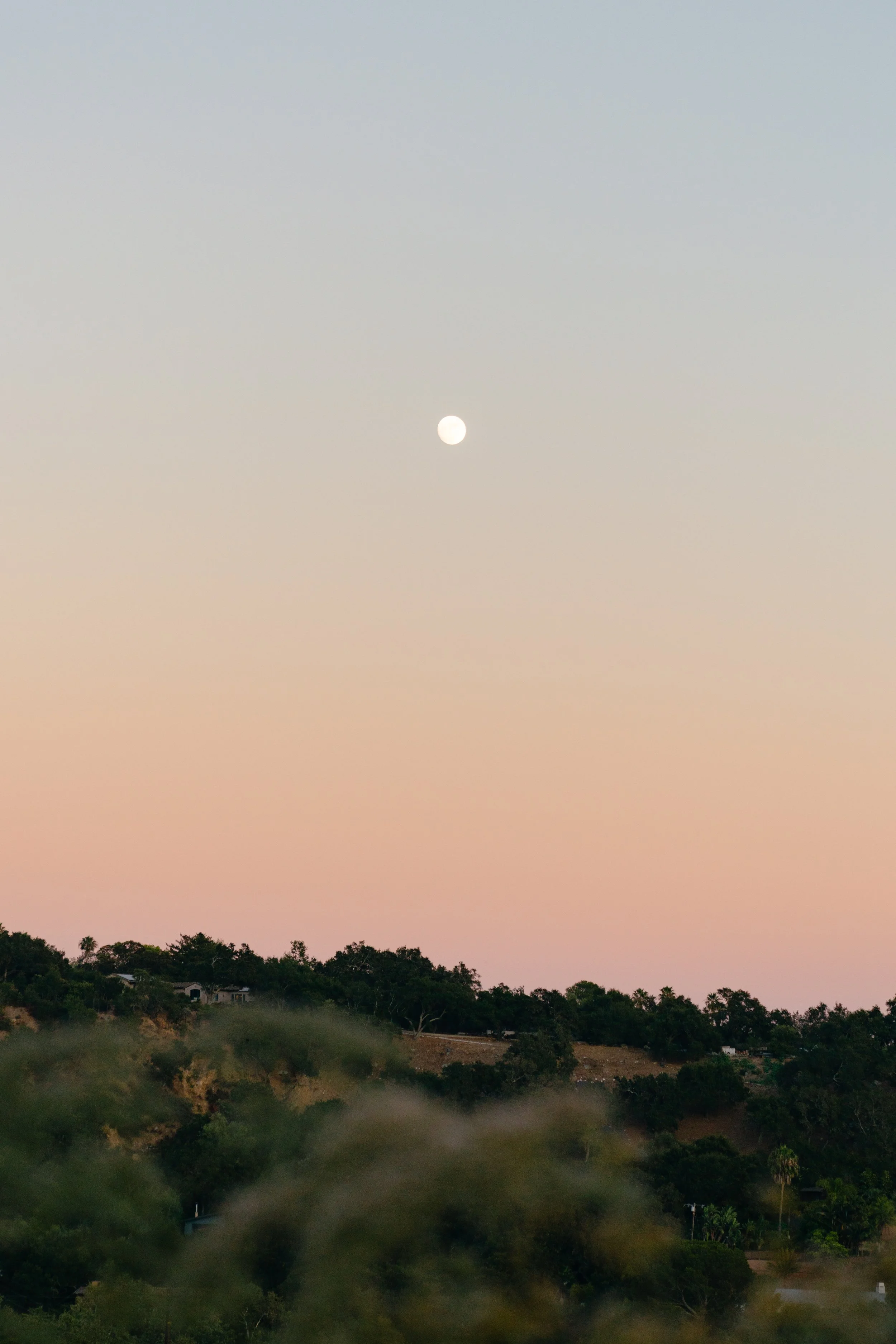 A7R03687.jpg