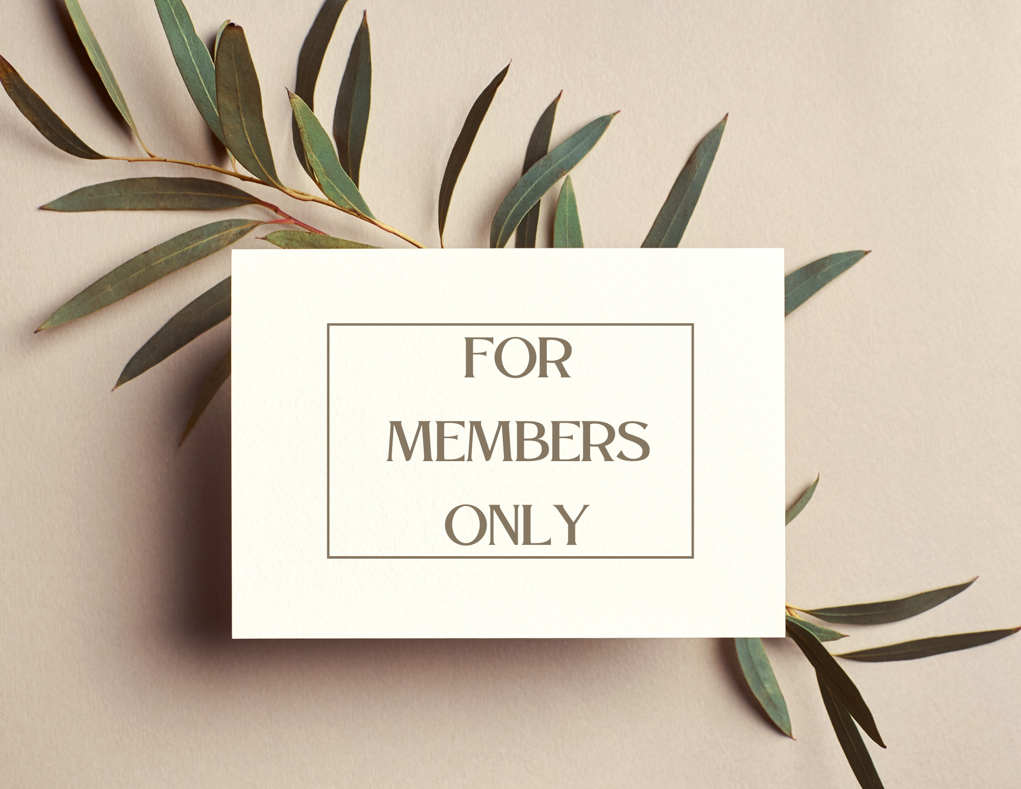 Members Only Events | Join Exciting Member Events Today — Norwell Women ...