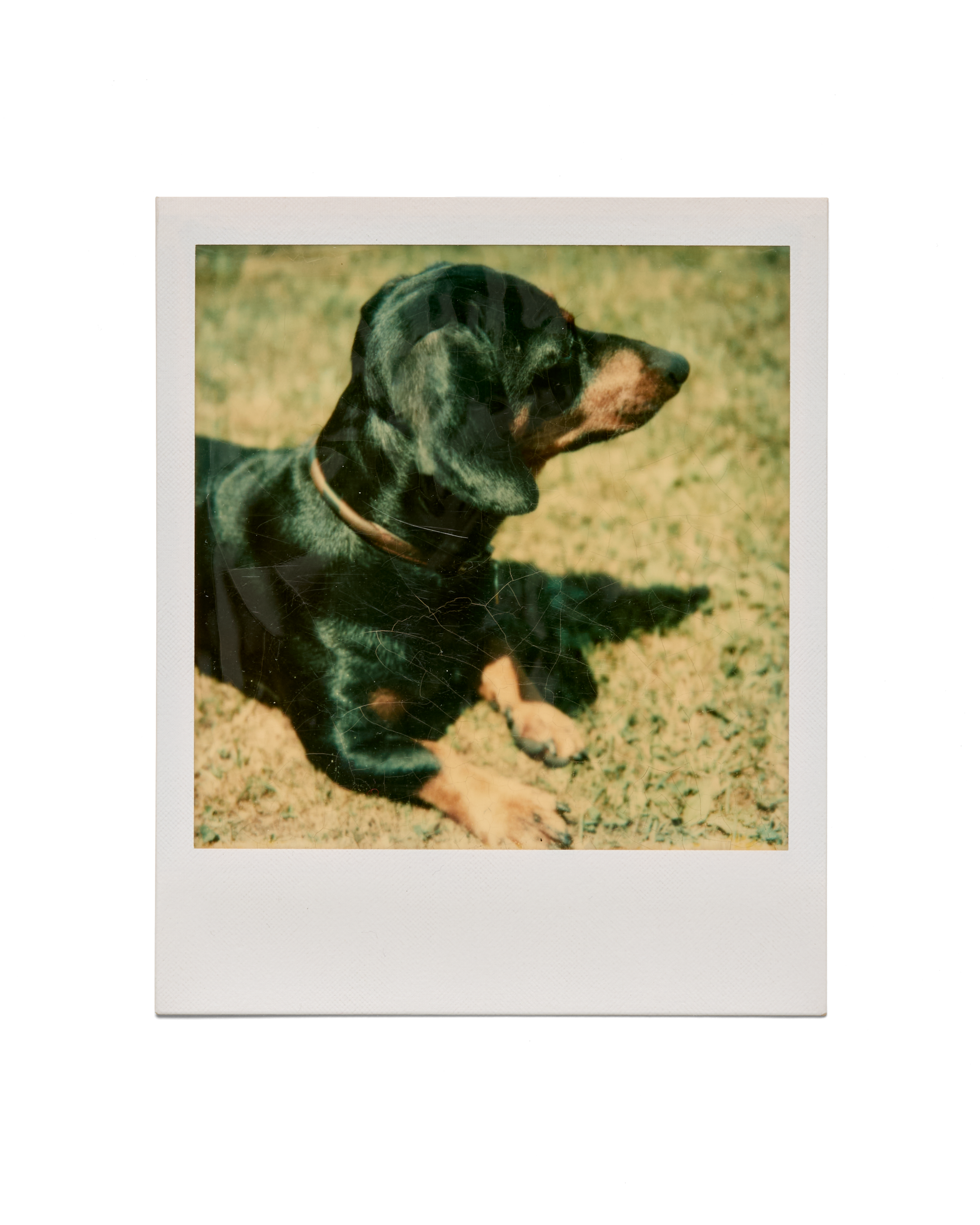 AW-A05_0864.png