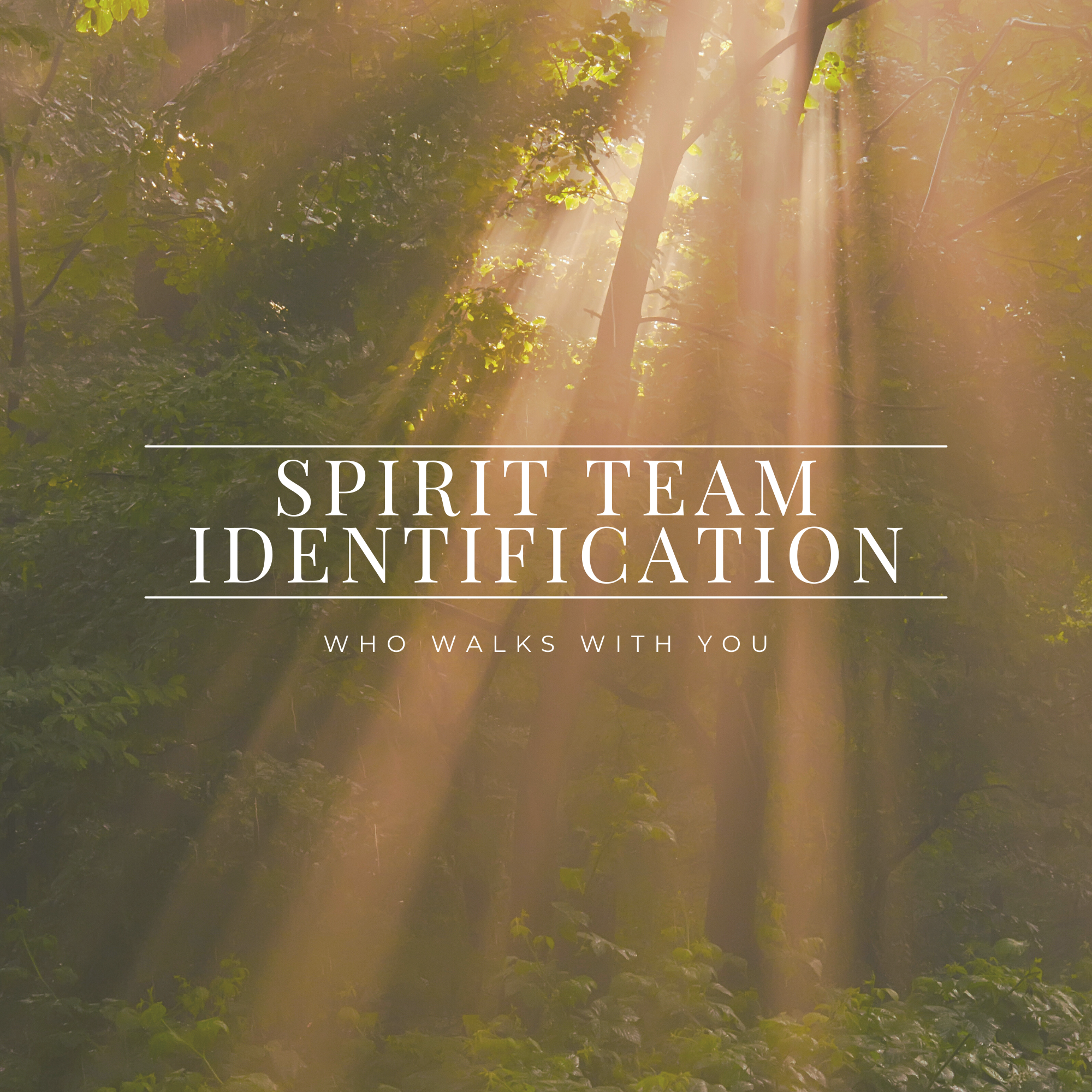 Spirit Team Identification