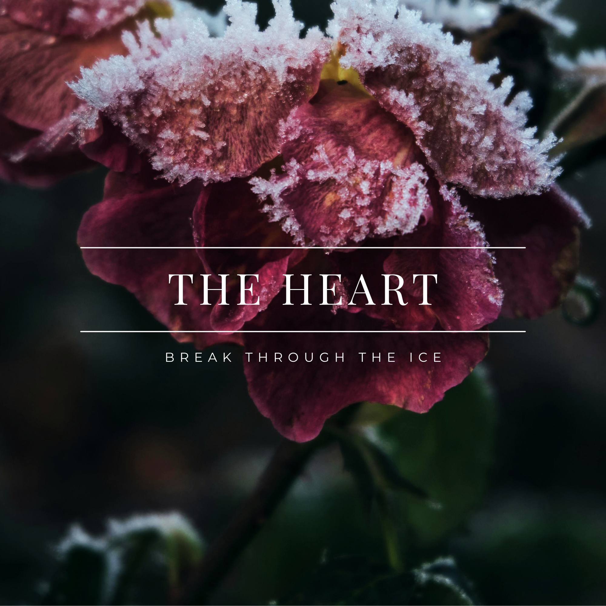 The Heart — Energetic Healing