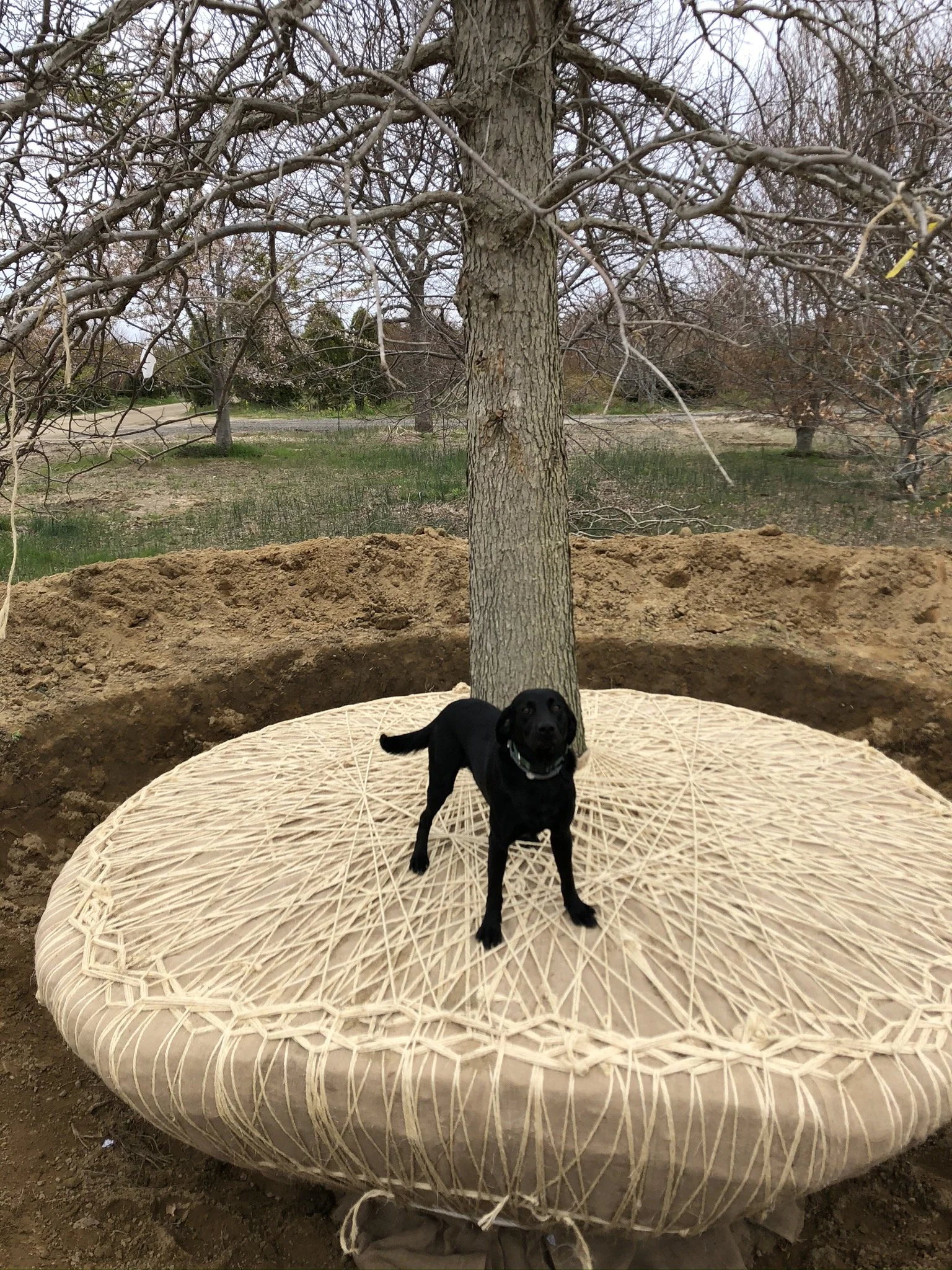 Landscape Installation