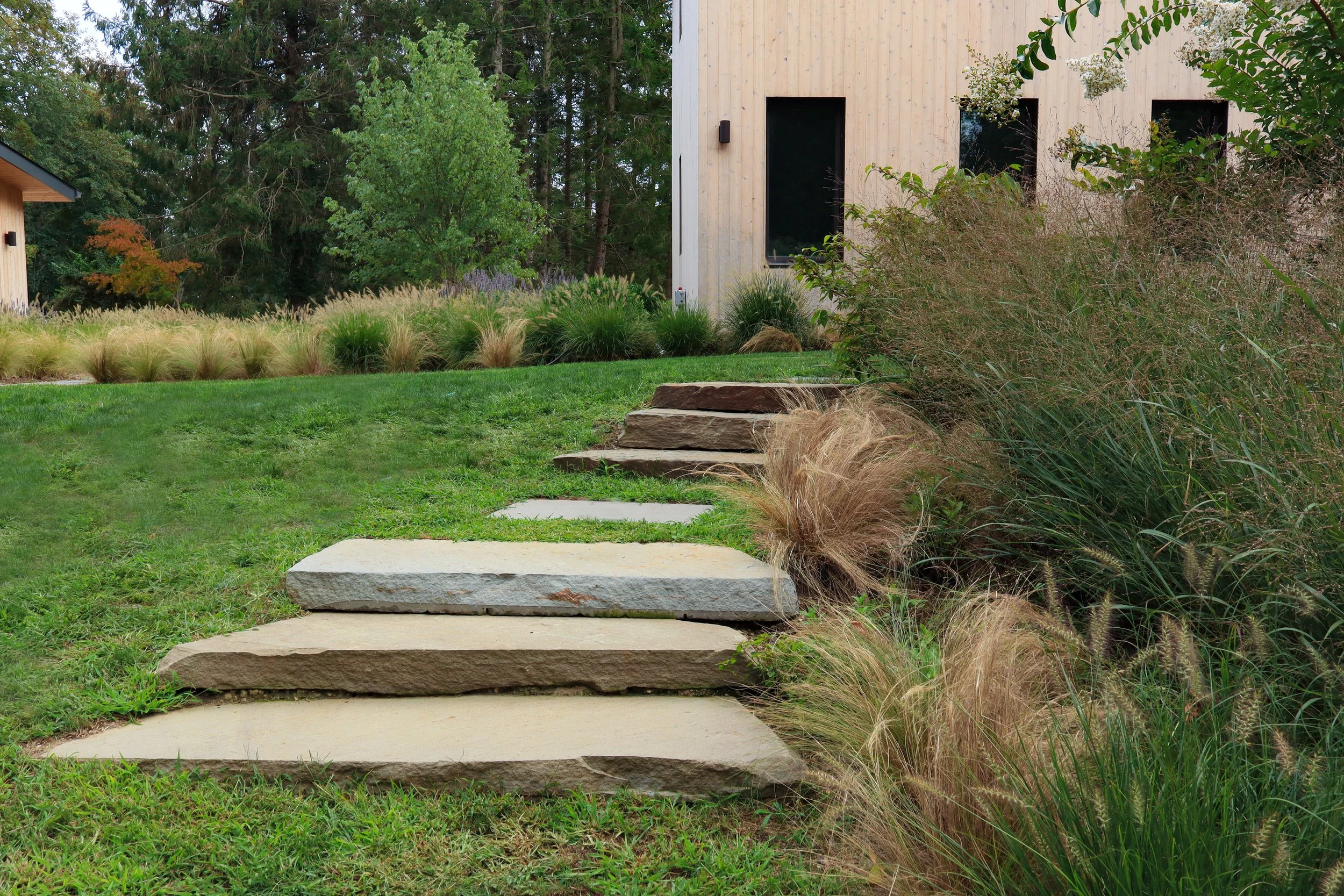Stone Steps.jpg