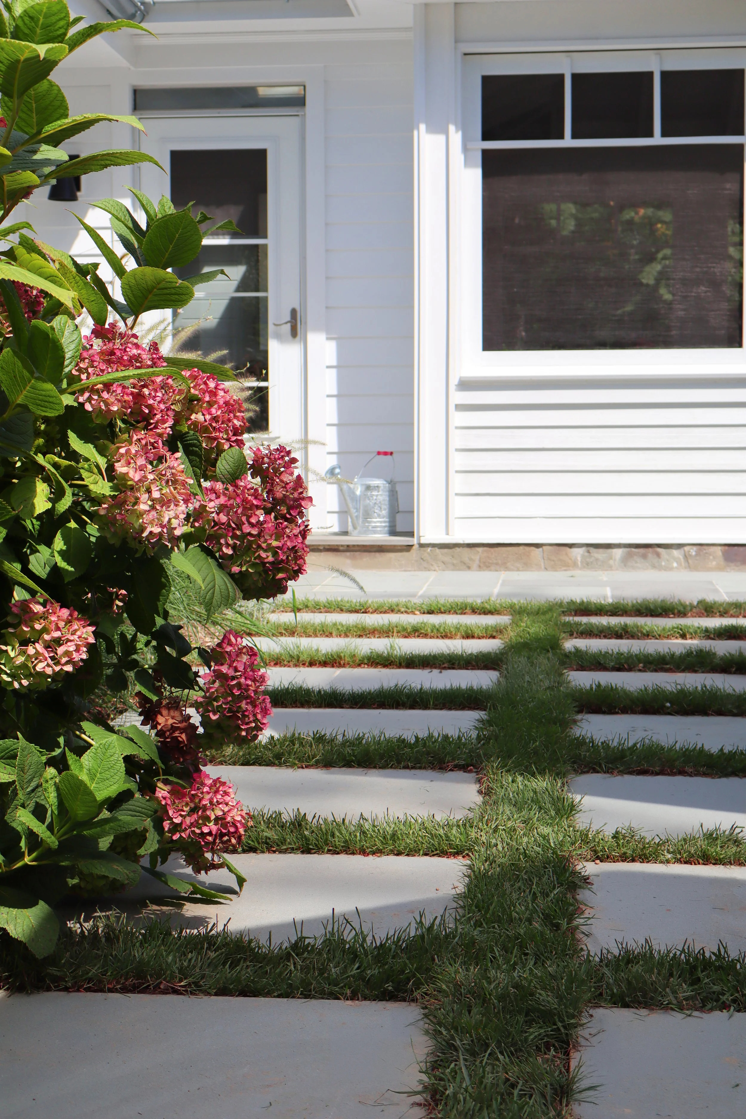 Hydrangea Path.jpg