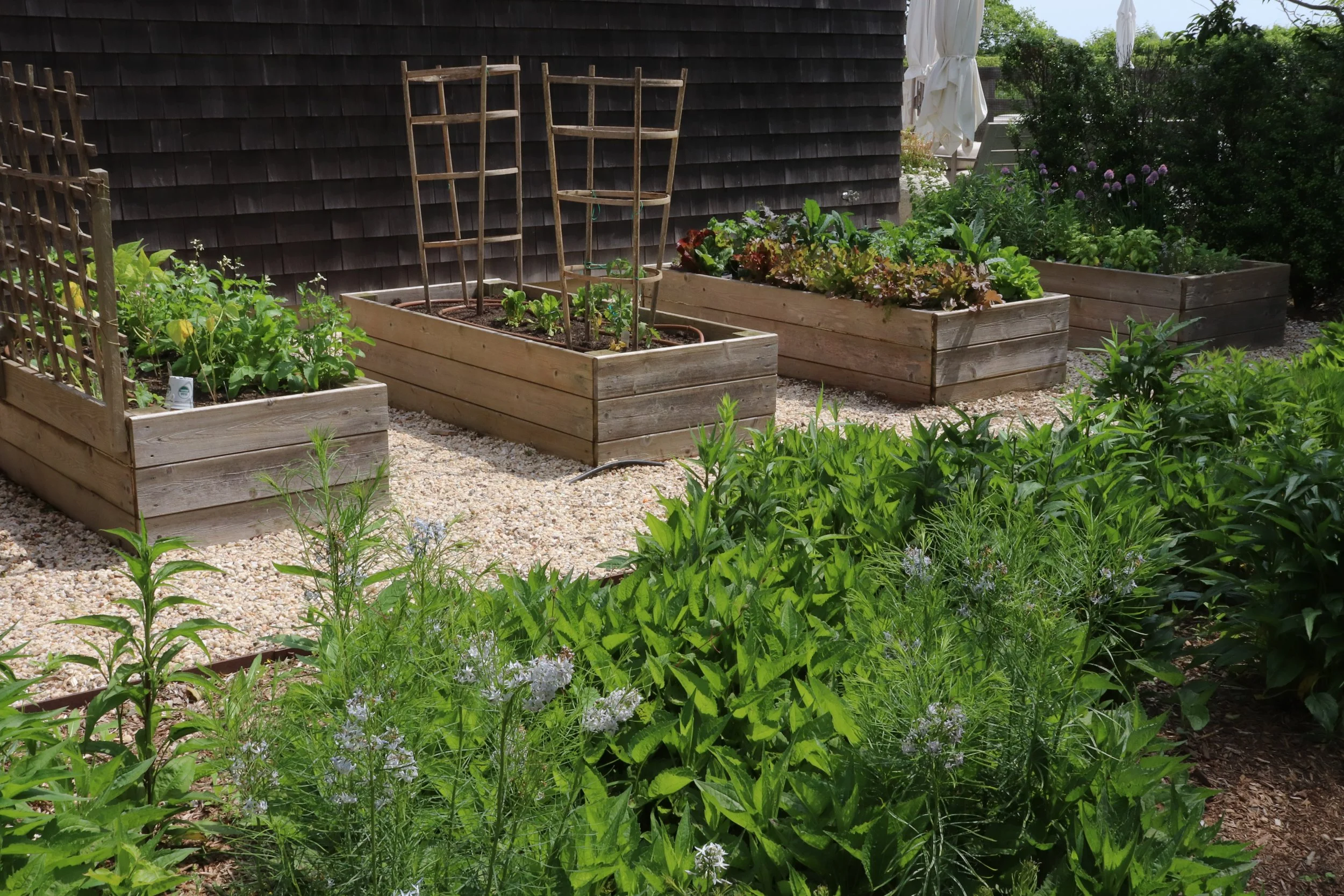 An image of four raised cedar garden beds with vegetables growing and a beautiful garden in the foreground.