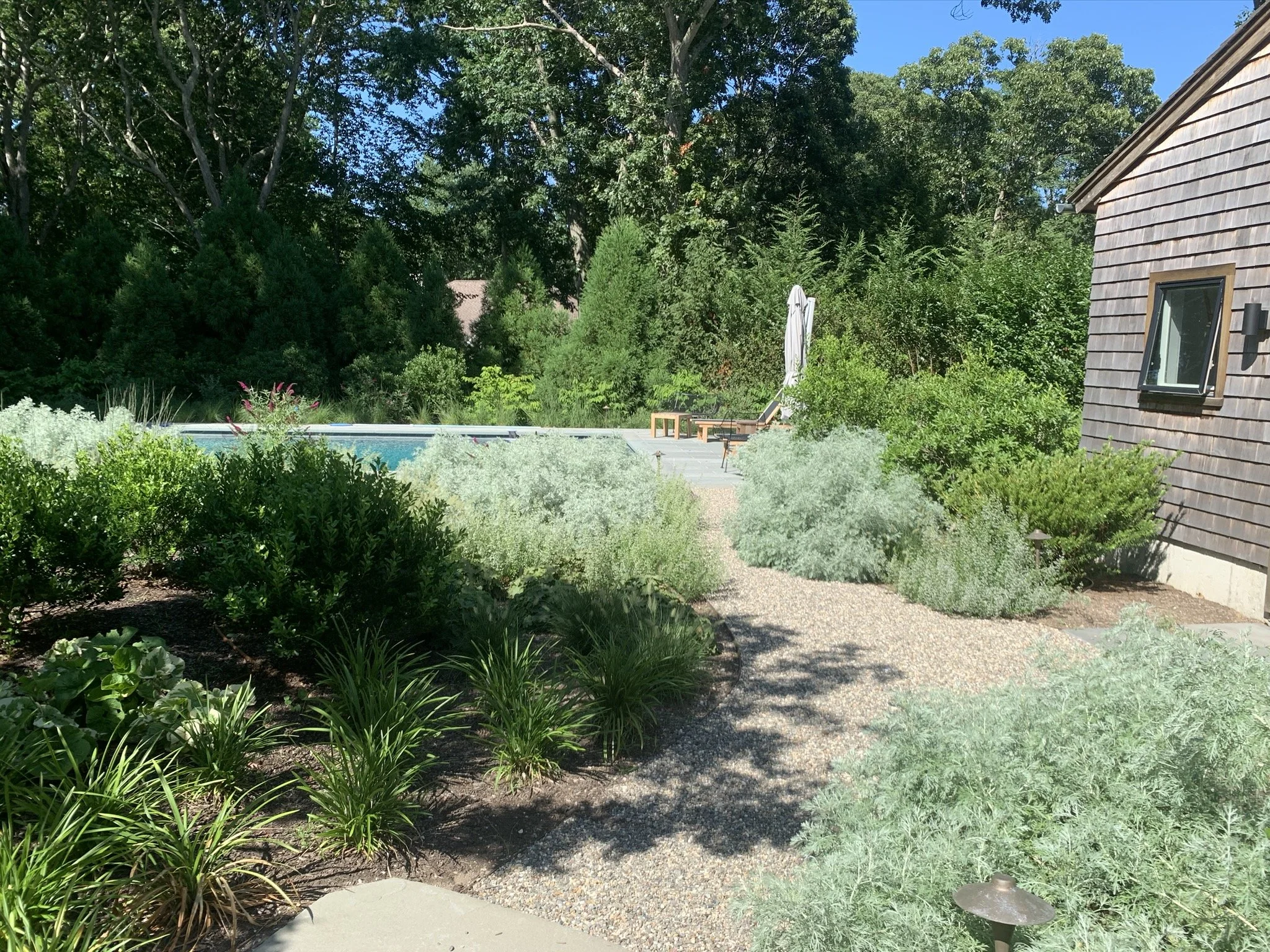 An image of a beautiful natural landscape with grasses and artemisia and shrubs with a natural stone pathway winding in between. 