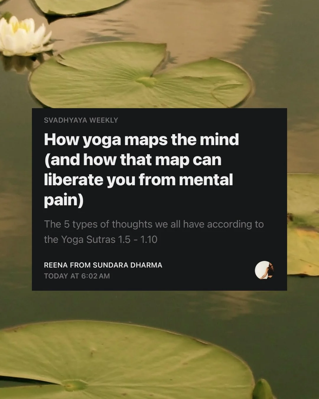 this is definitely something you&rsquo;ll never hear in a yoga class in the west!!! 

comment SUTRA to get the juicy, mystical, yogic science on the mind 🪷😍

(if you&rsquo;re a highly sensitive, high achiever this will change your LIFE) 

#yogaphil