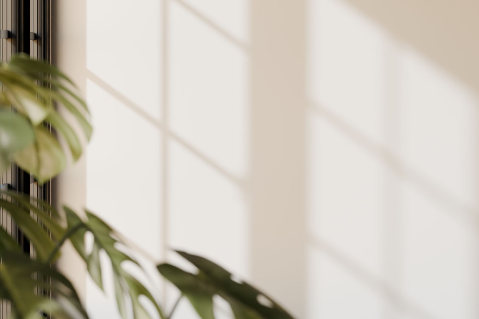 Plant in the sunlight of a window to illustrate the power of OCD Therapy in Toronto