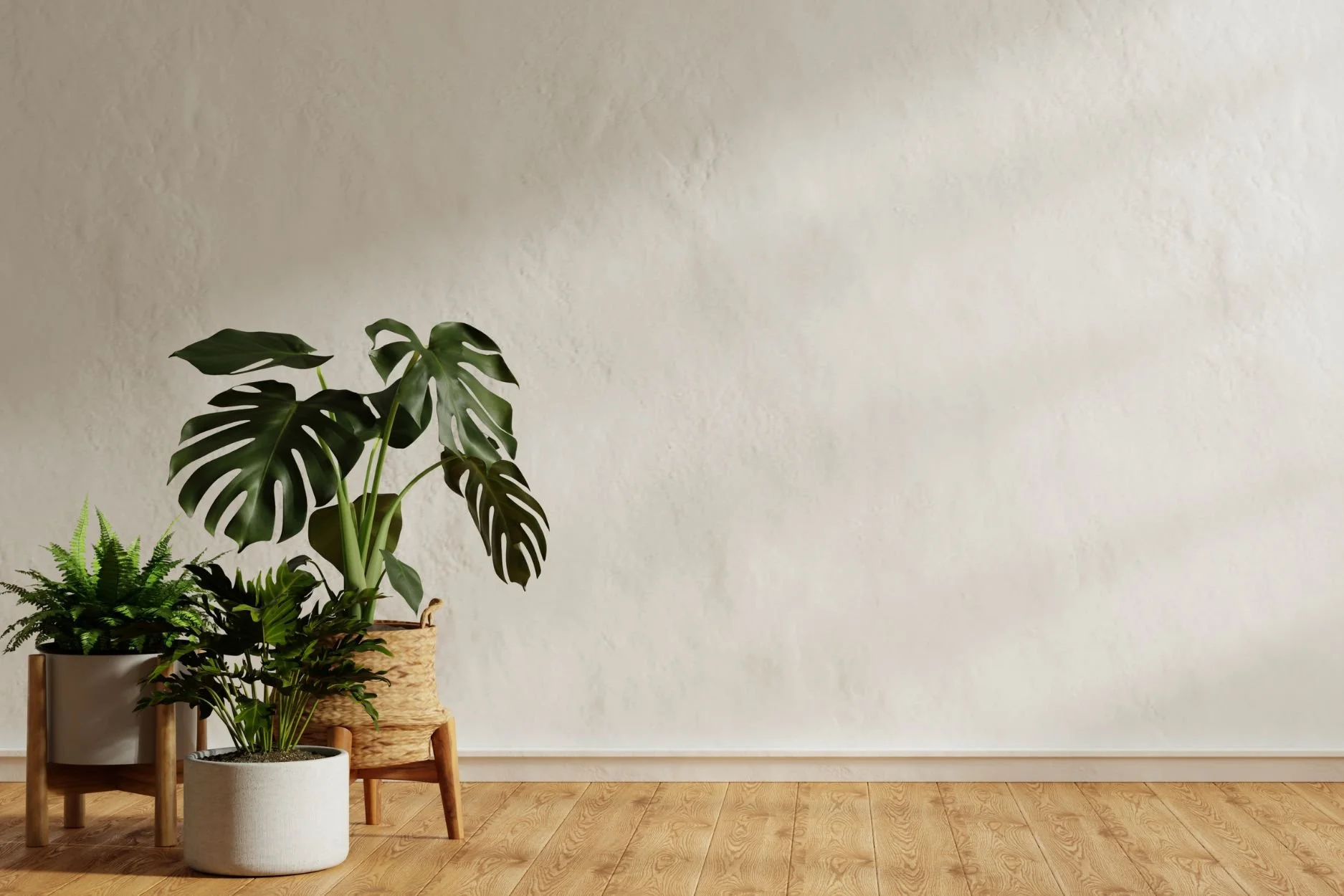 three plants