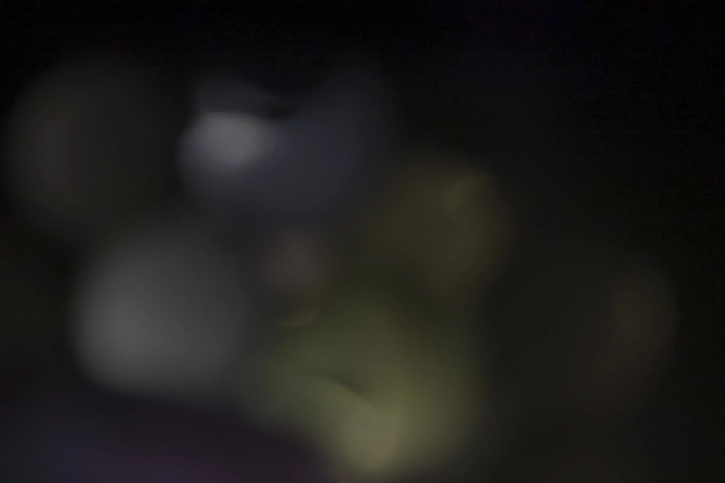 z.jpg