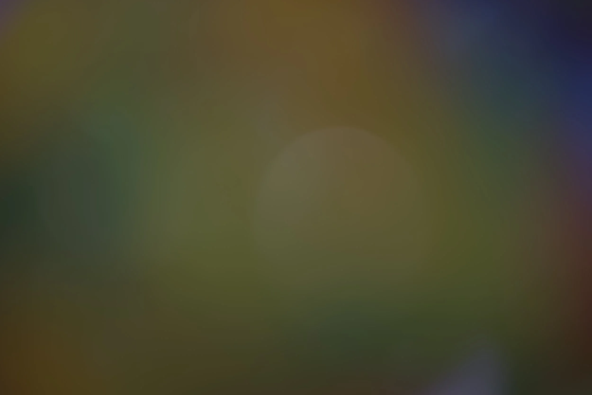 z.jpg