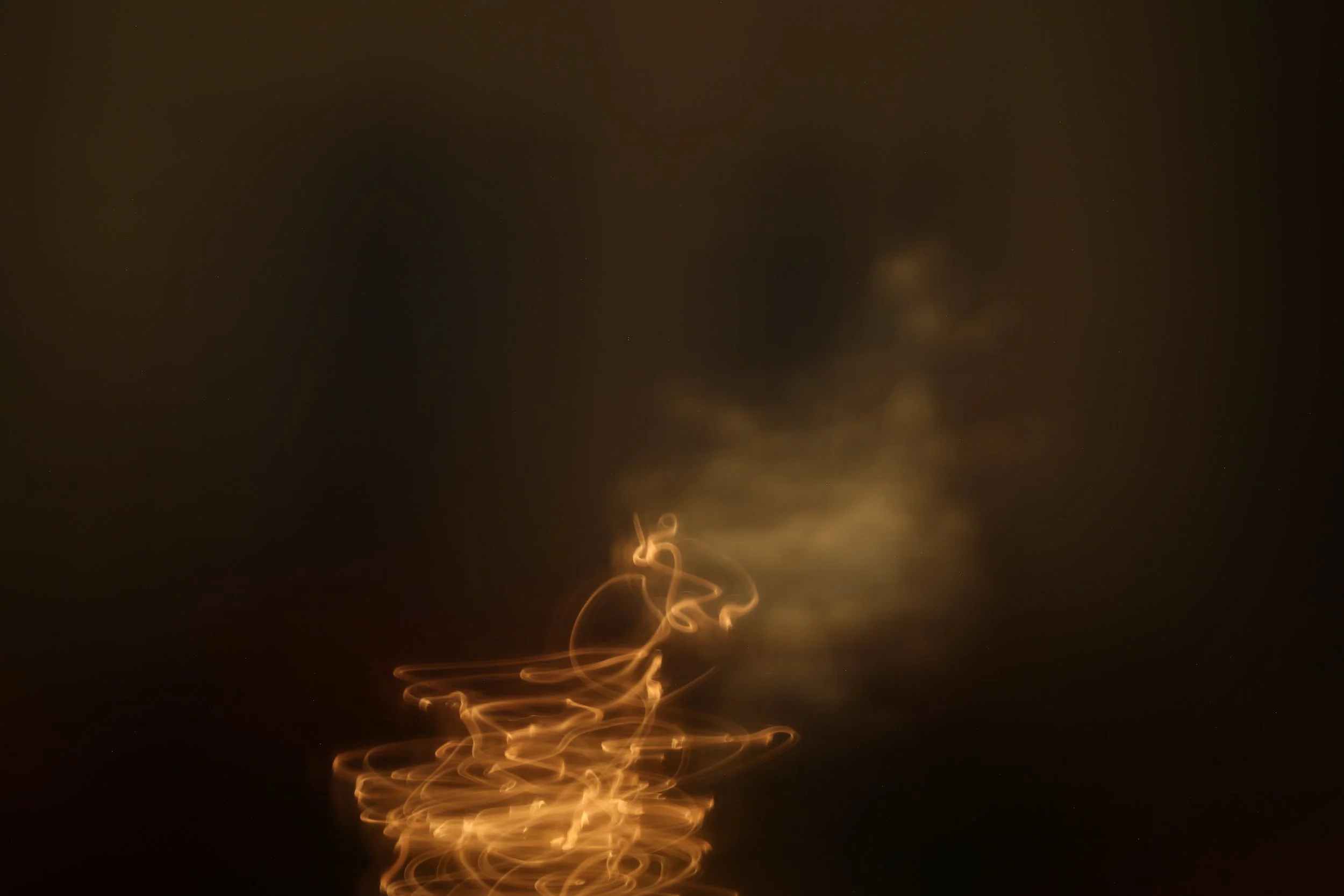 LO2A5230.jpg
