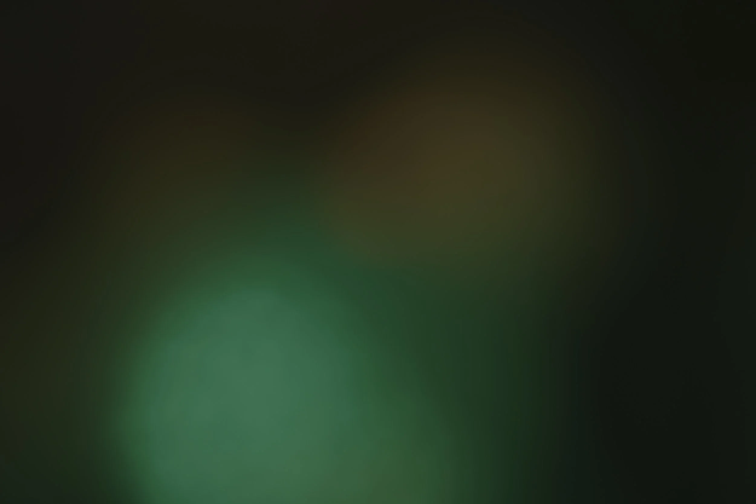 z.jpg