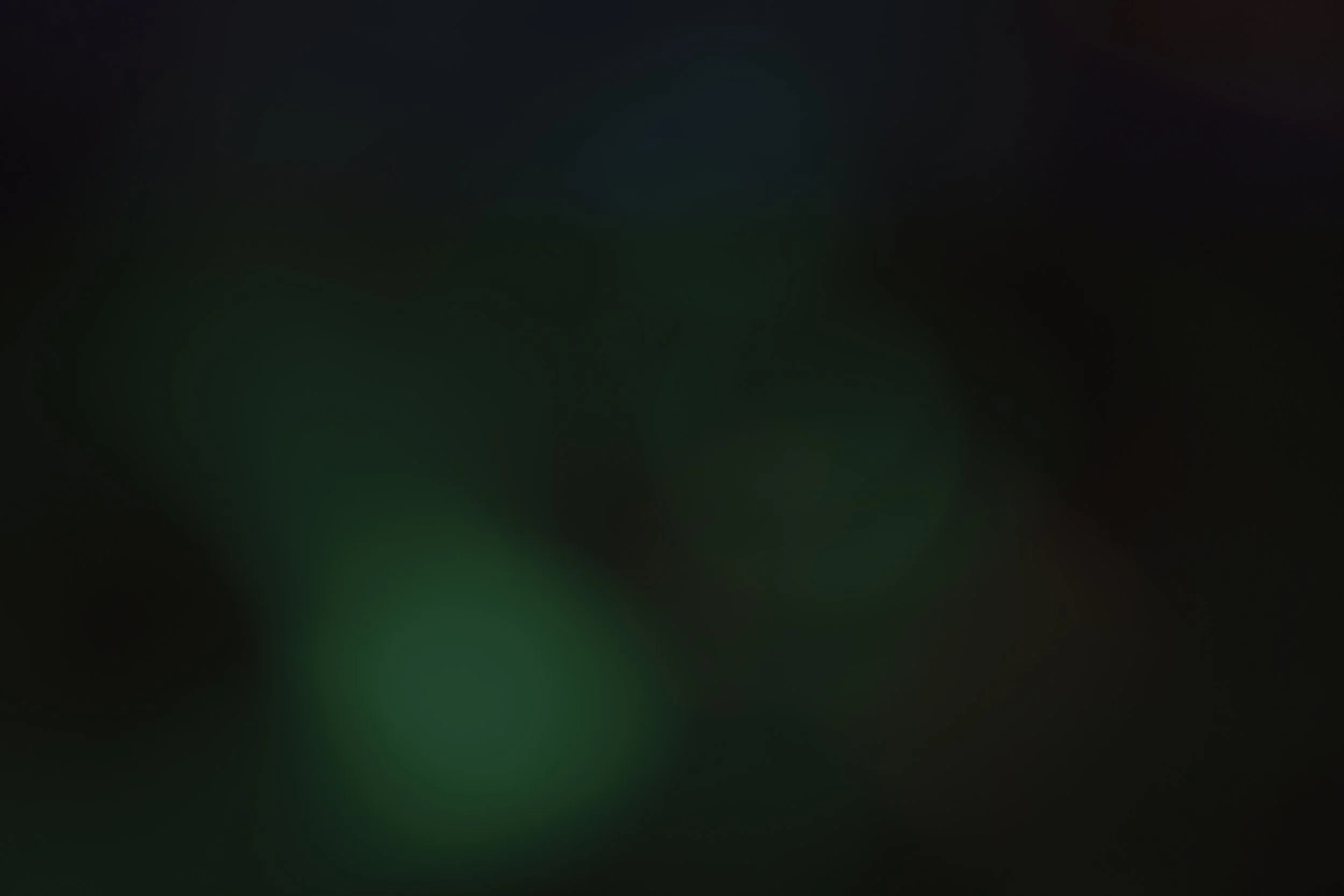 z.jpg