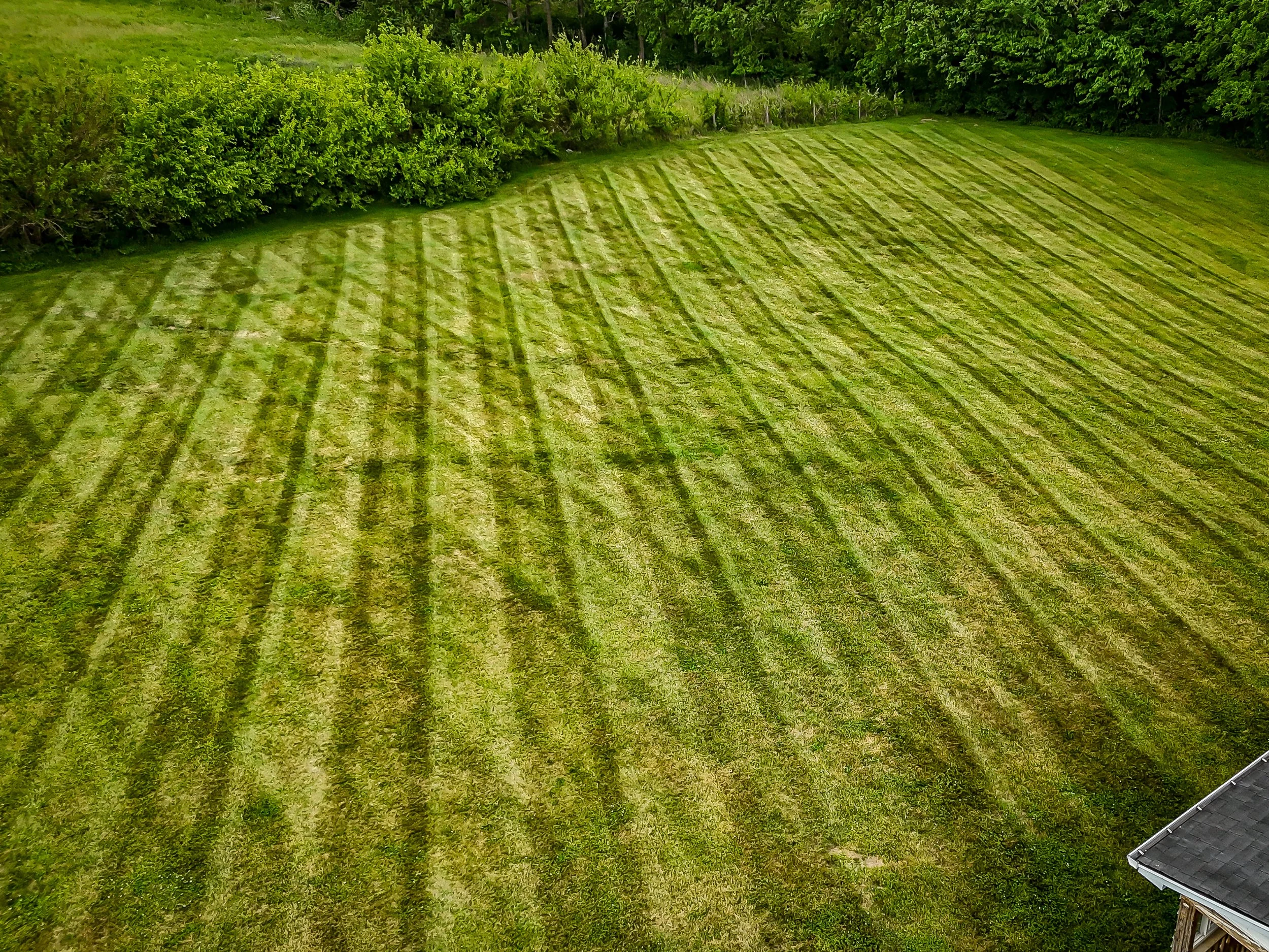 Lancaster Mowing Grass Cut Landscaping Luster Lawn Care