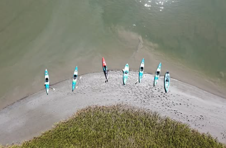 Charleston SUP Safaris