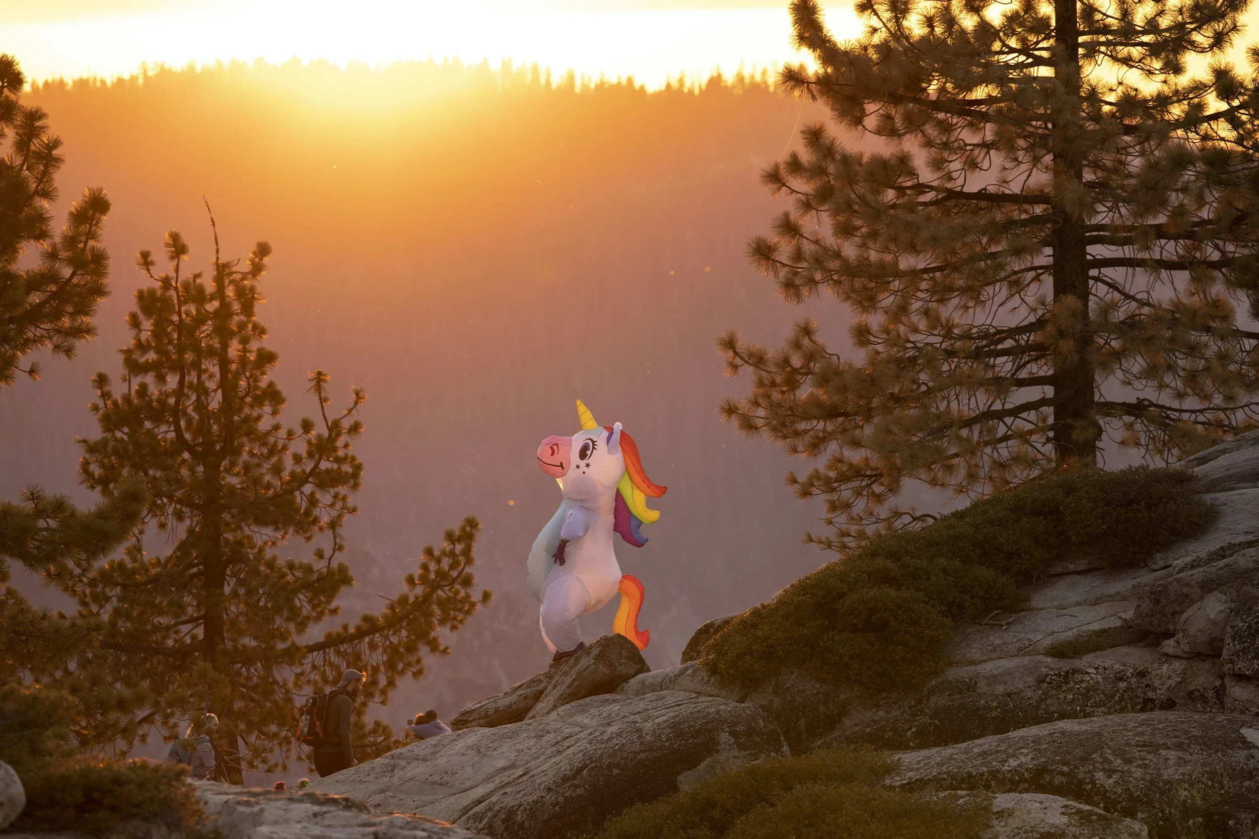 Unicorn on a mountain top during sunset
