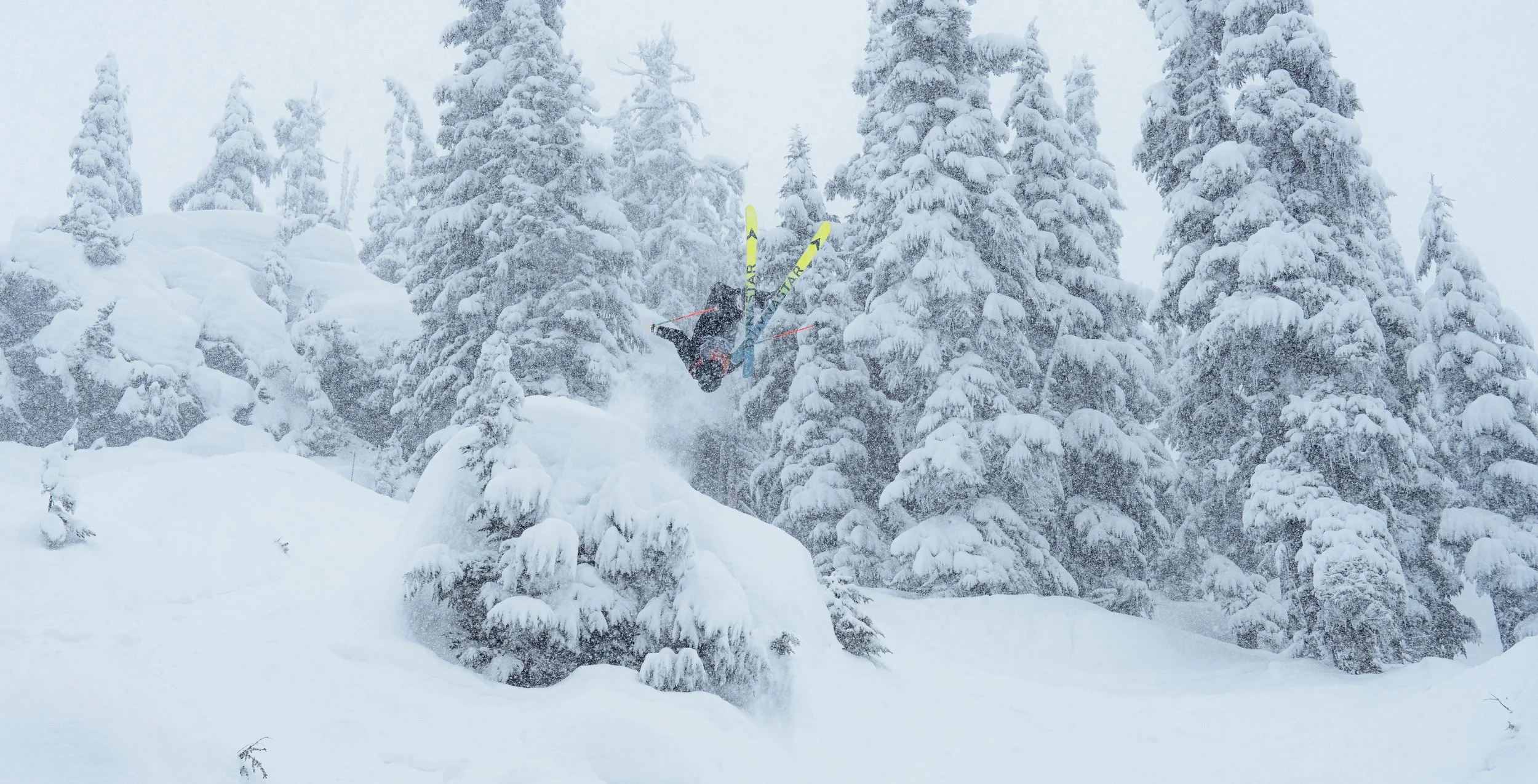 Snow School Newsletter #9