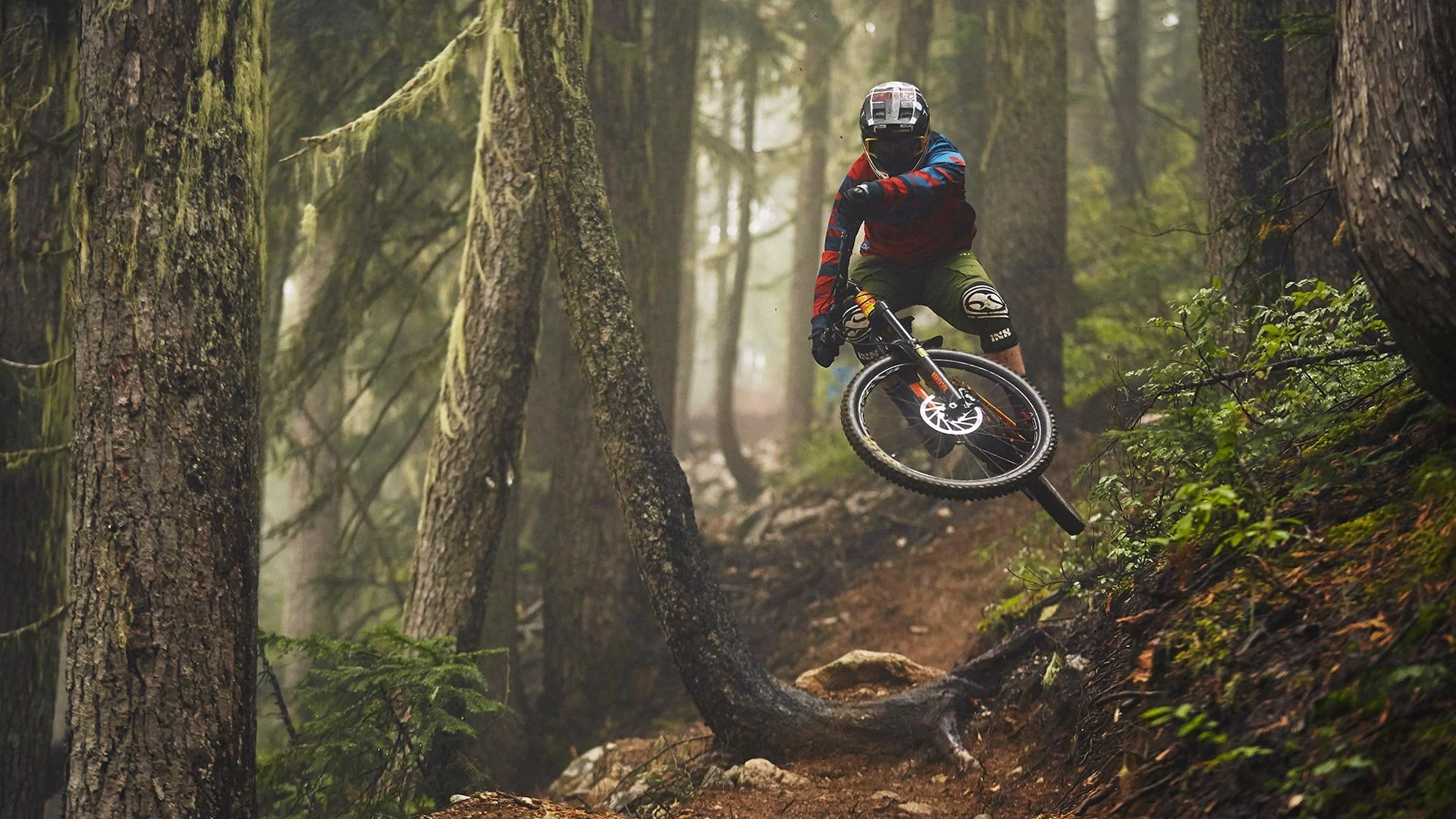 Bike School Newsletter #13