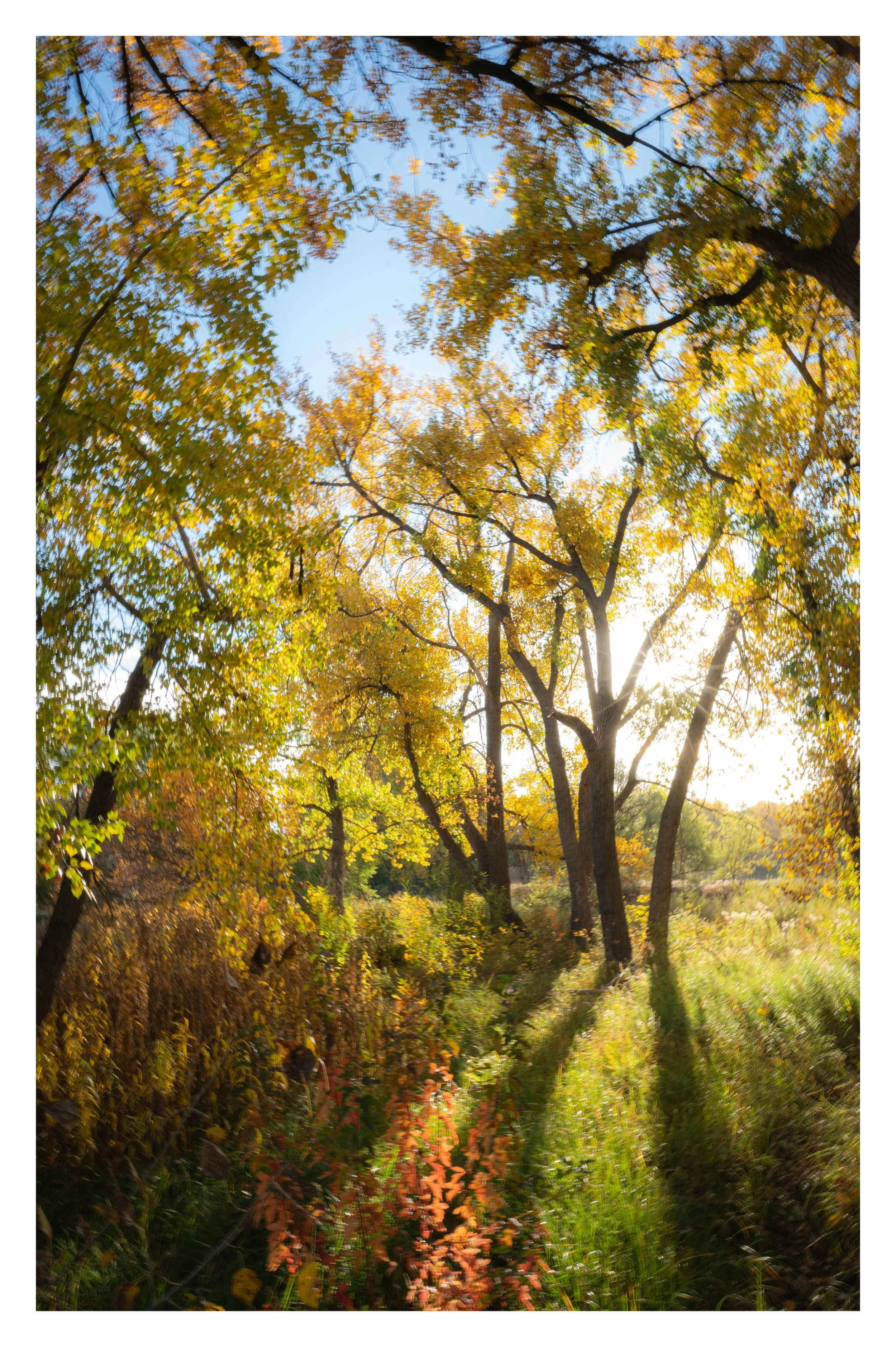 DSC_9661-Edit.jpg