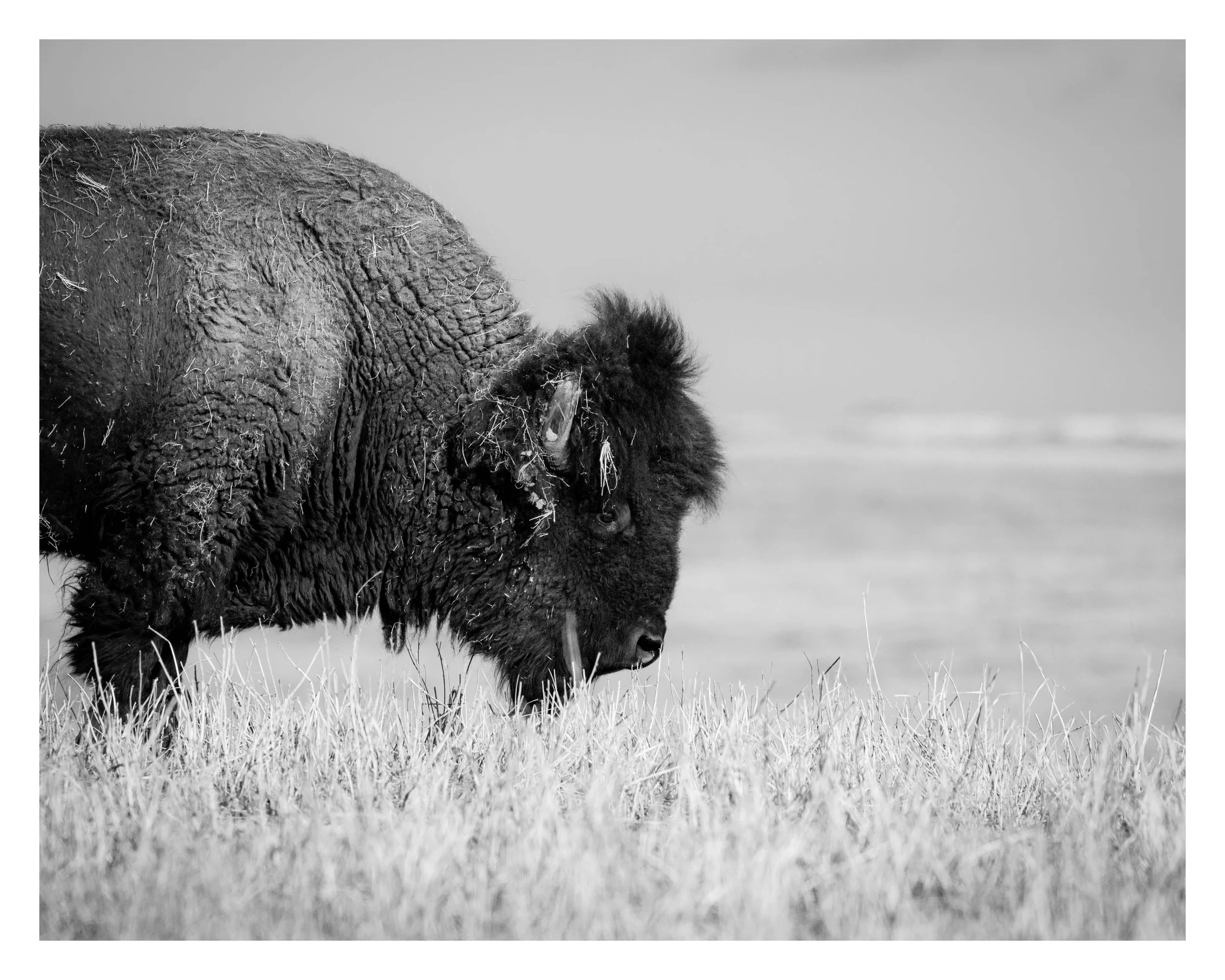 DSC_9165-Edit.jpg