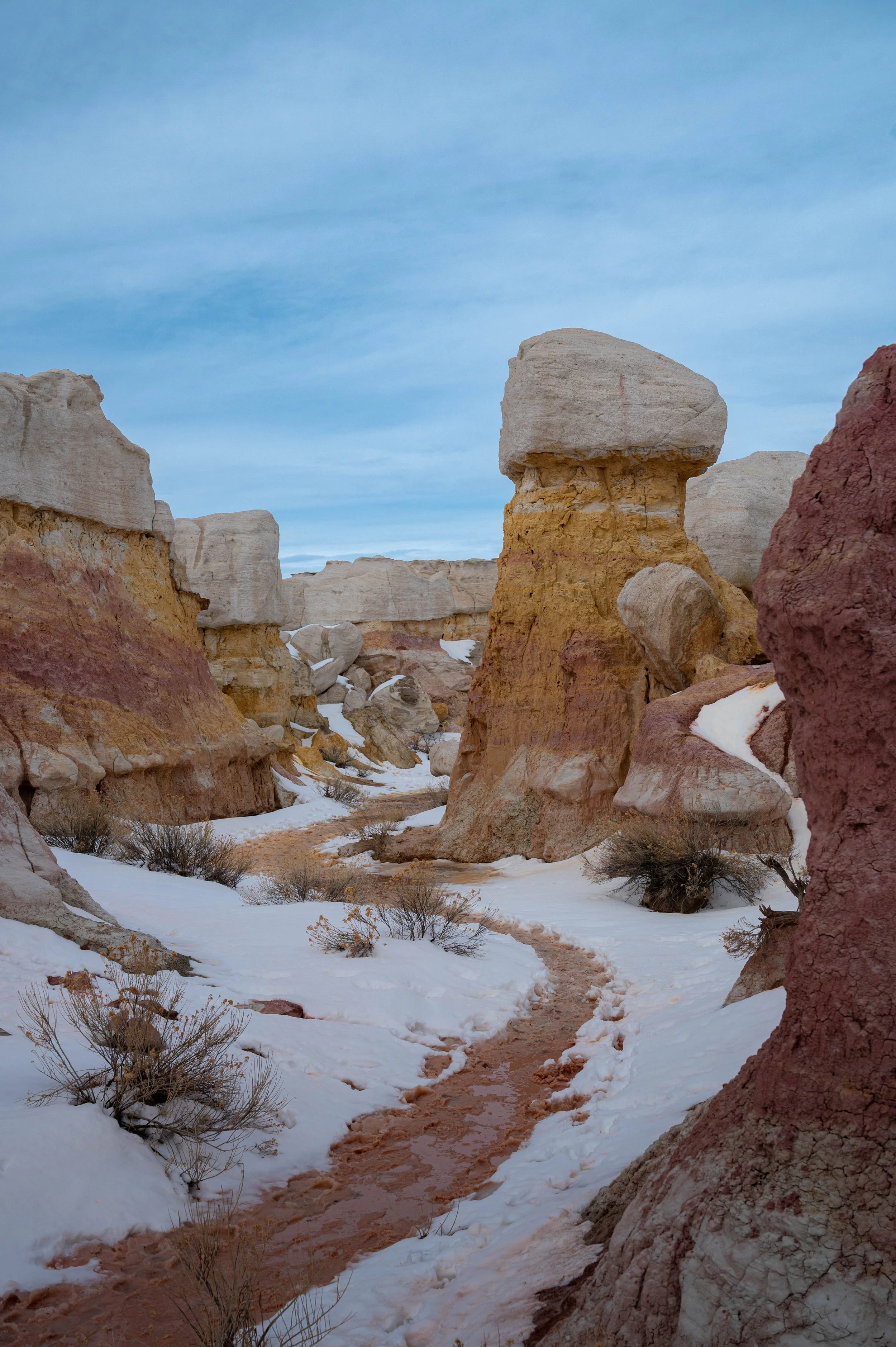 DSC_9532-3.jpg