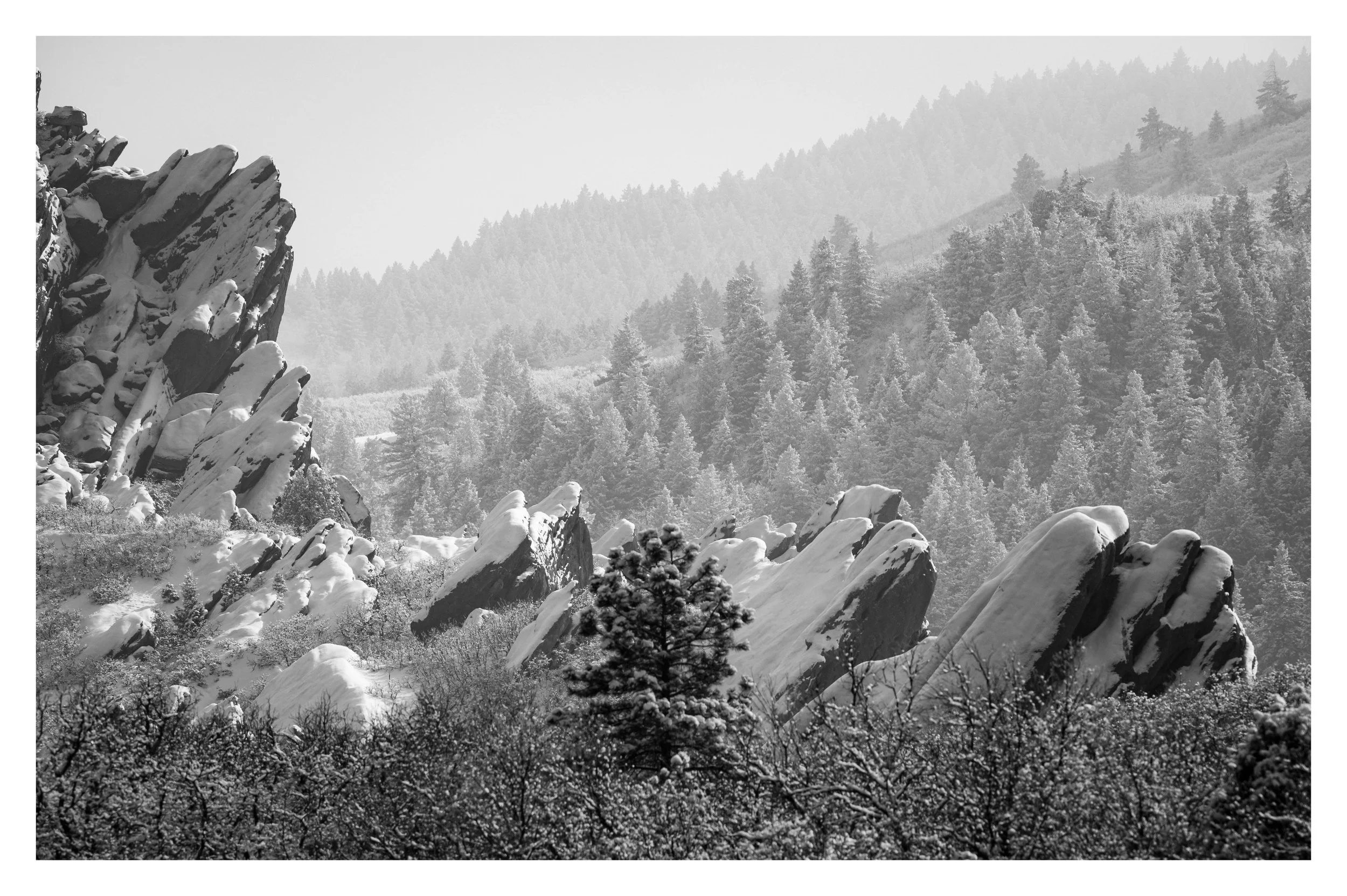 DSC_8699-Edit.jpg