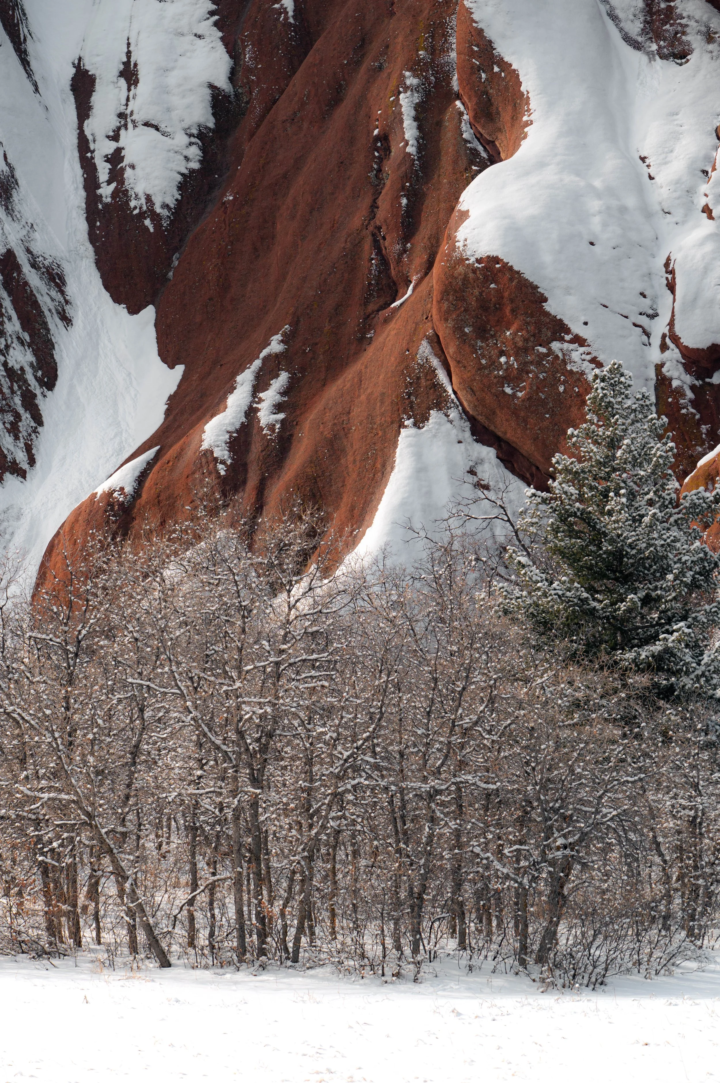 DSC_8684-3.jpg