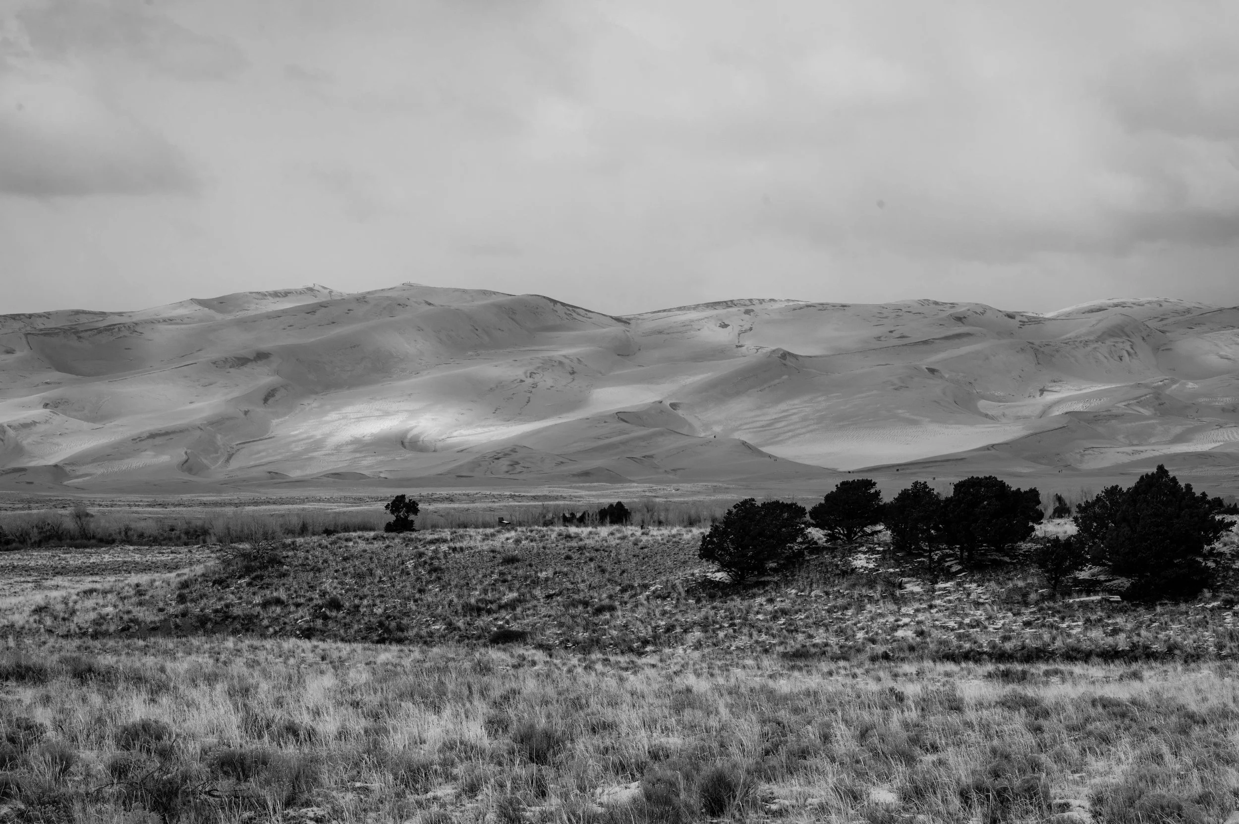 DSC_2847-3.jpg