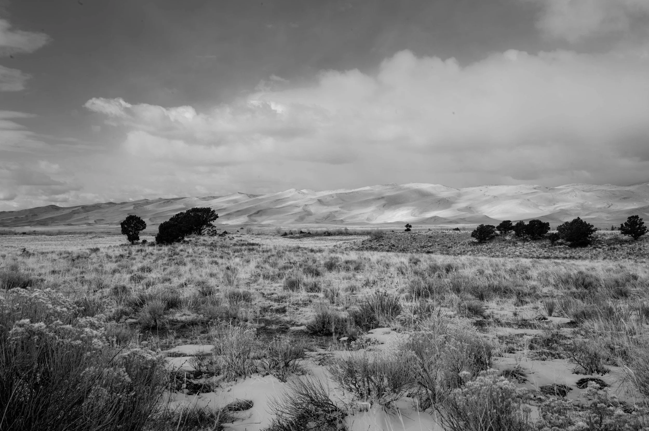 DSC_2856-3.jpg