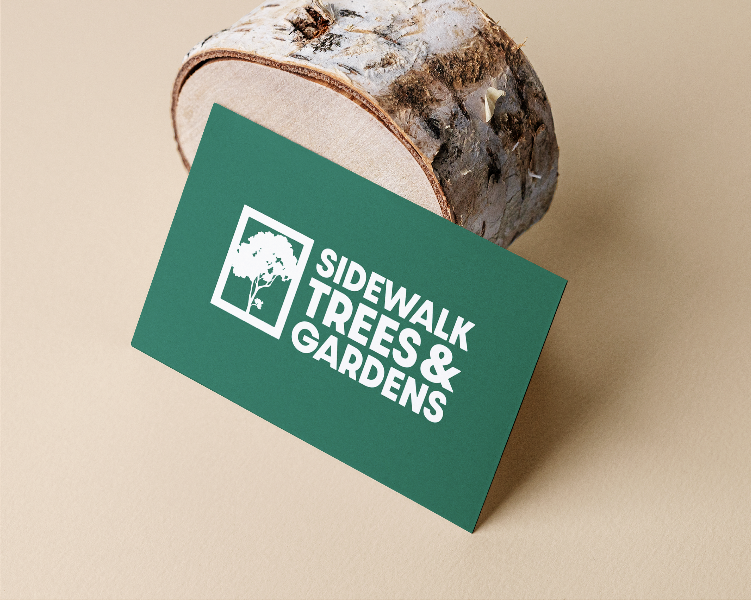 Portfolio Gallery Carousel-07.png