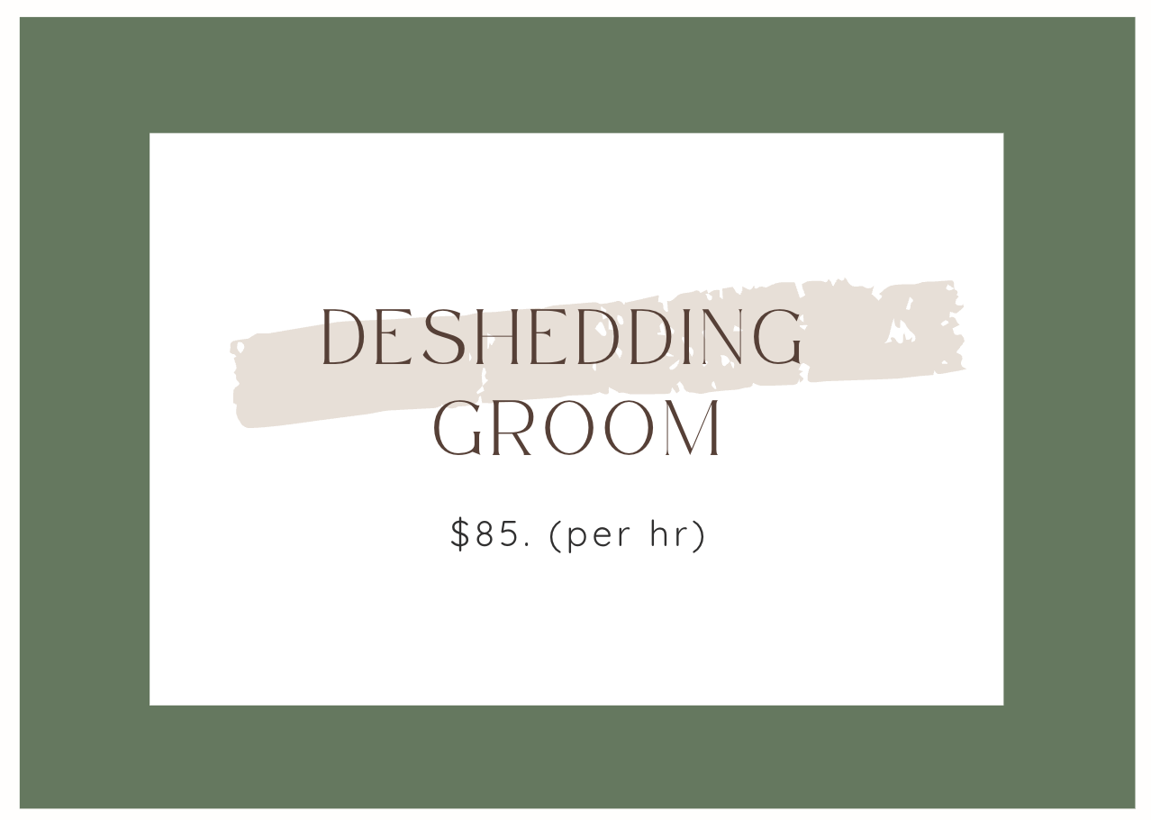 Screenshot 2026-02-12 at 4.43.31 pm.png