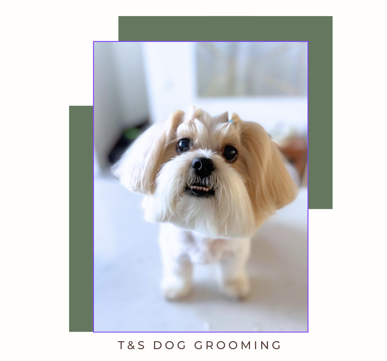 Screenshot 2026-02-12 at 11.45.41 am.png