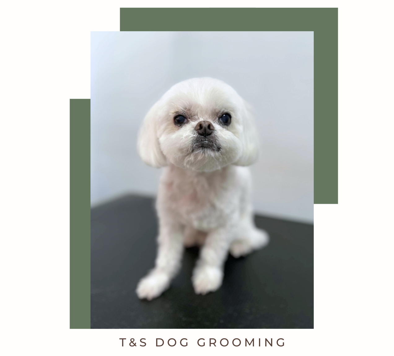 Screenshot 2026-02-12 at 4.15.34 pm.png