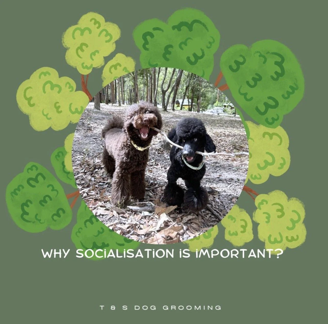 Why Socialication is important?