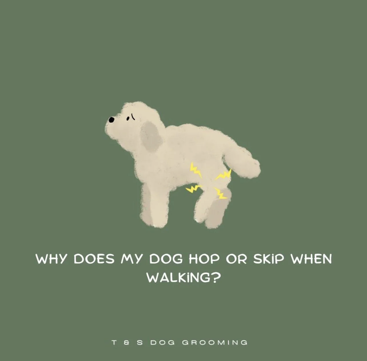 Why does dog hop or skip when walking?