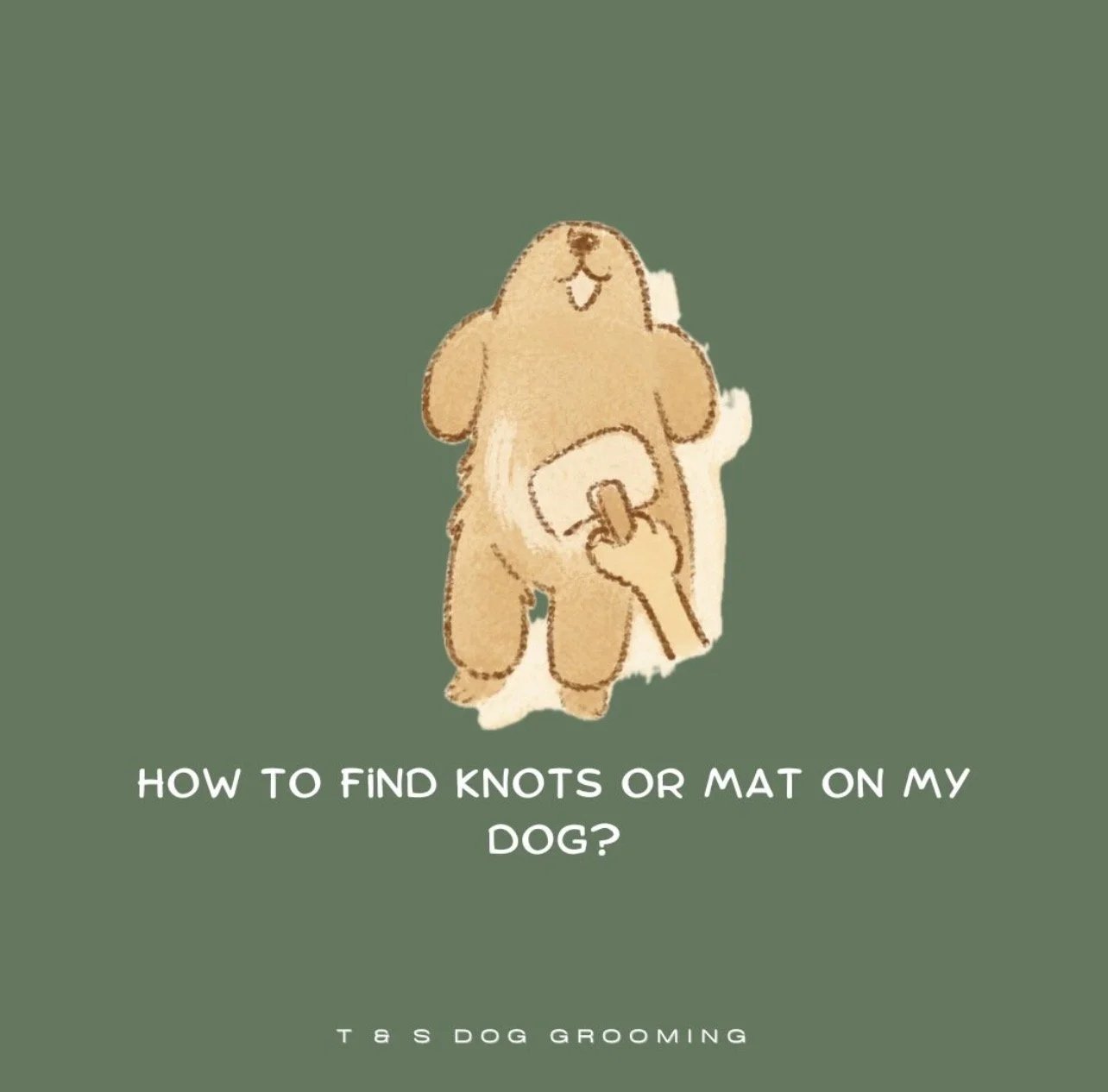 How to find knots or mat on my dog?