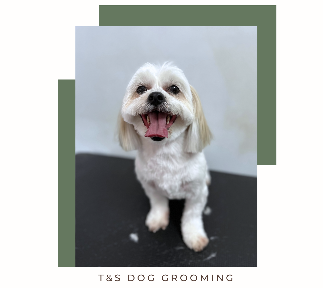 Screenshot 2026-02-12 at 4.09.48 pm.png