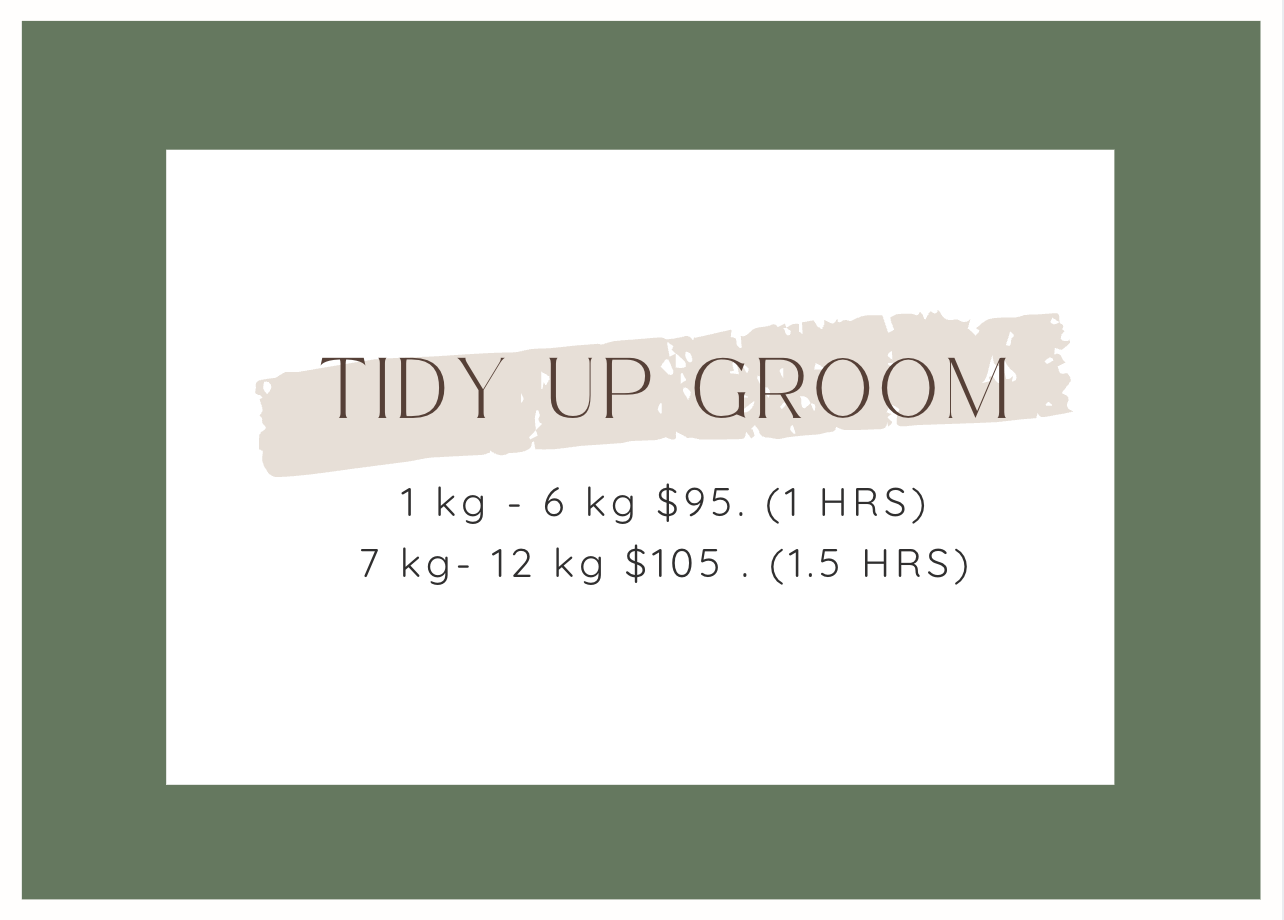 Screenshot 2026-02-12 at 4.26.29 pm.png