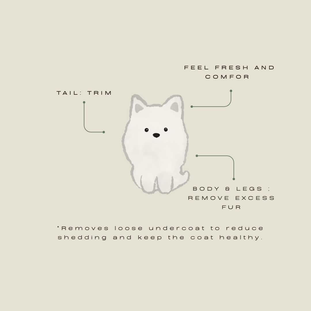 First Groom Discount 2.png