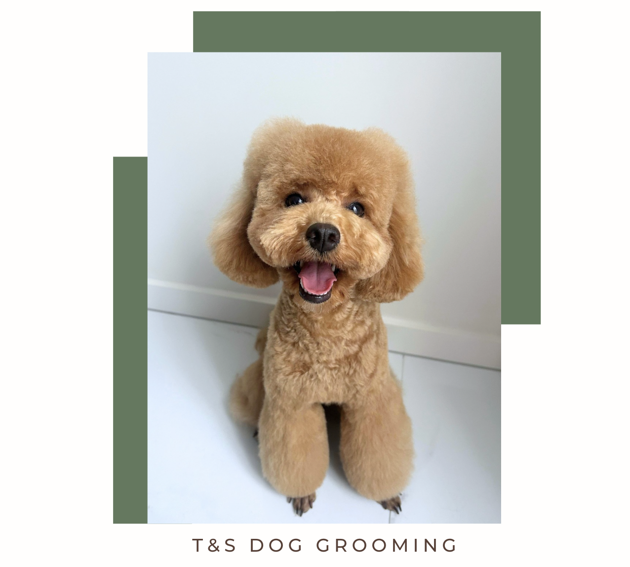 Screenshot 2026-02-12 at 11.52.46 am.png