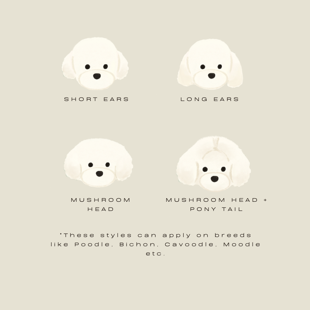 First Groom Discount copy.png